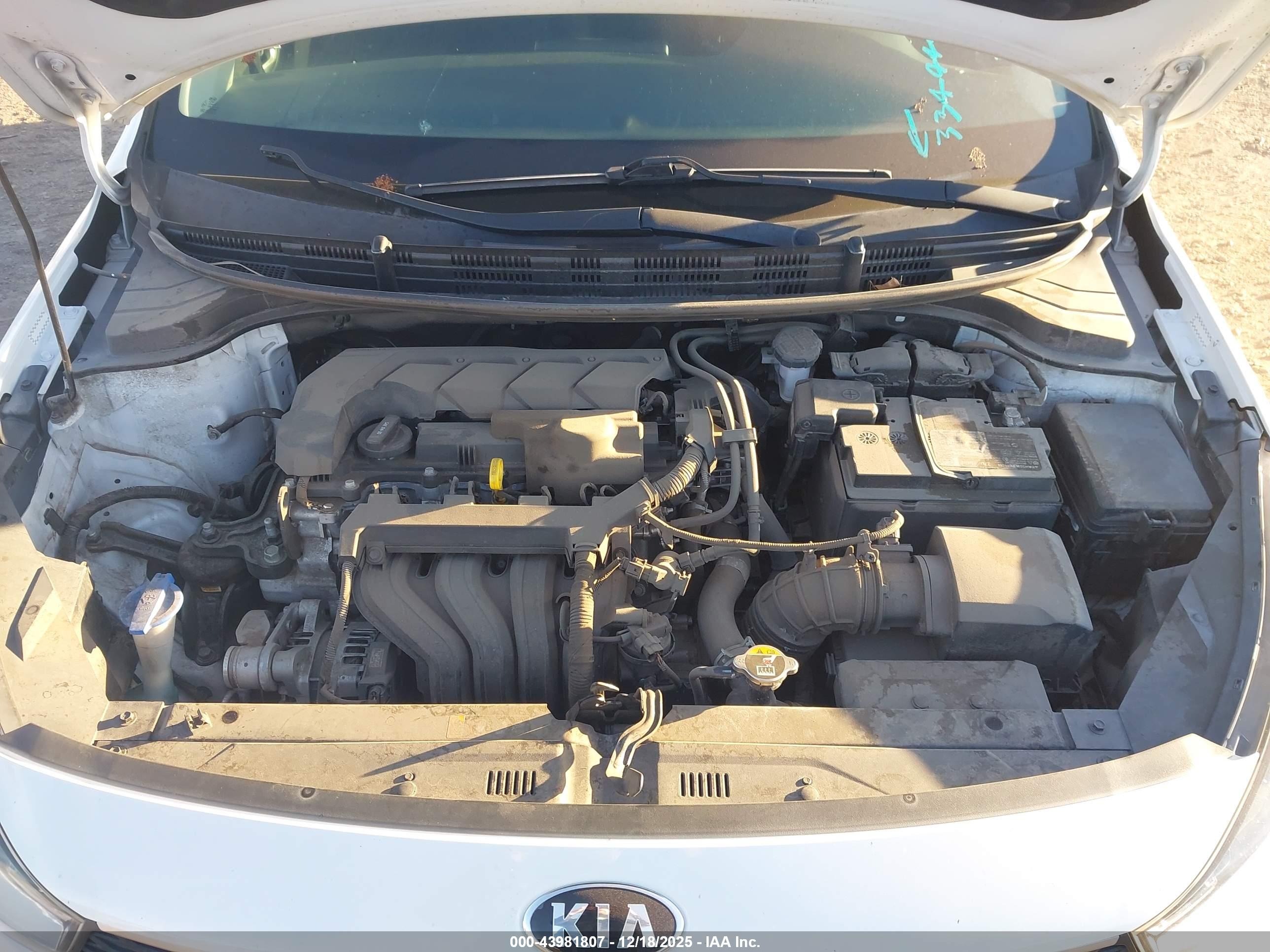 KIA RIO image 10