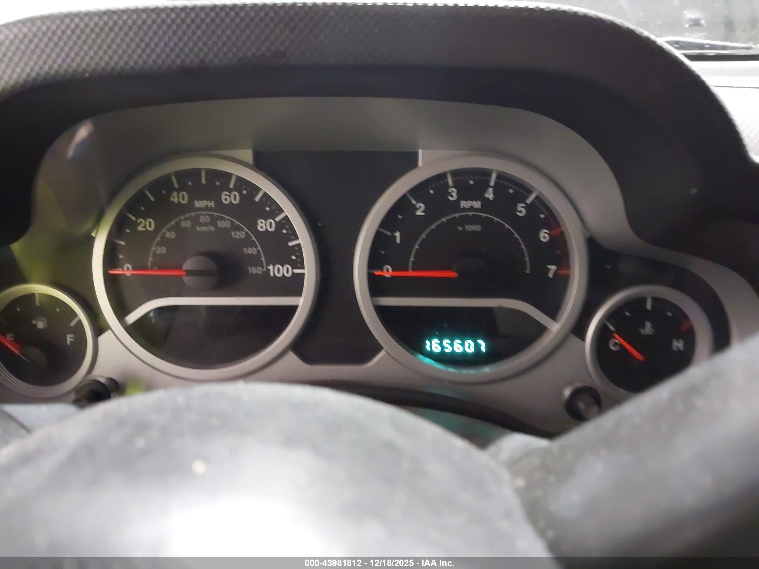 JEEP WRANGLER image 7