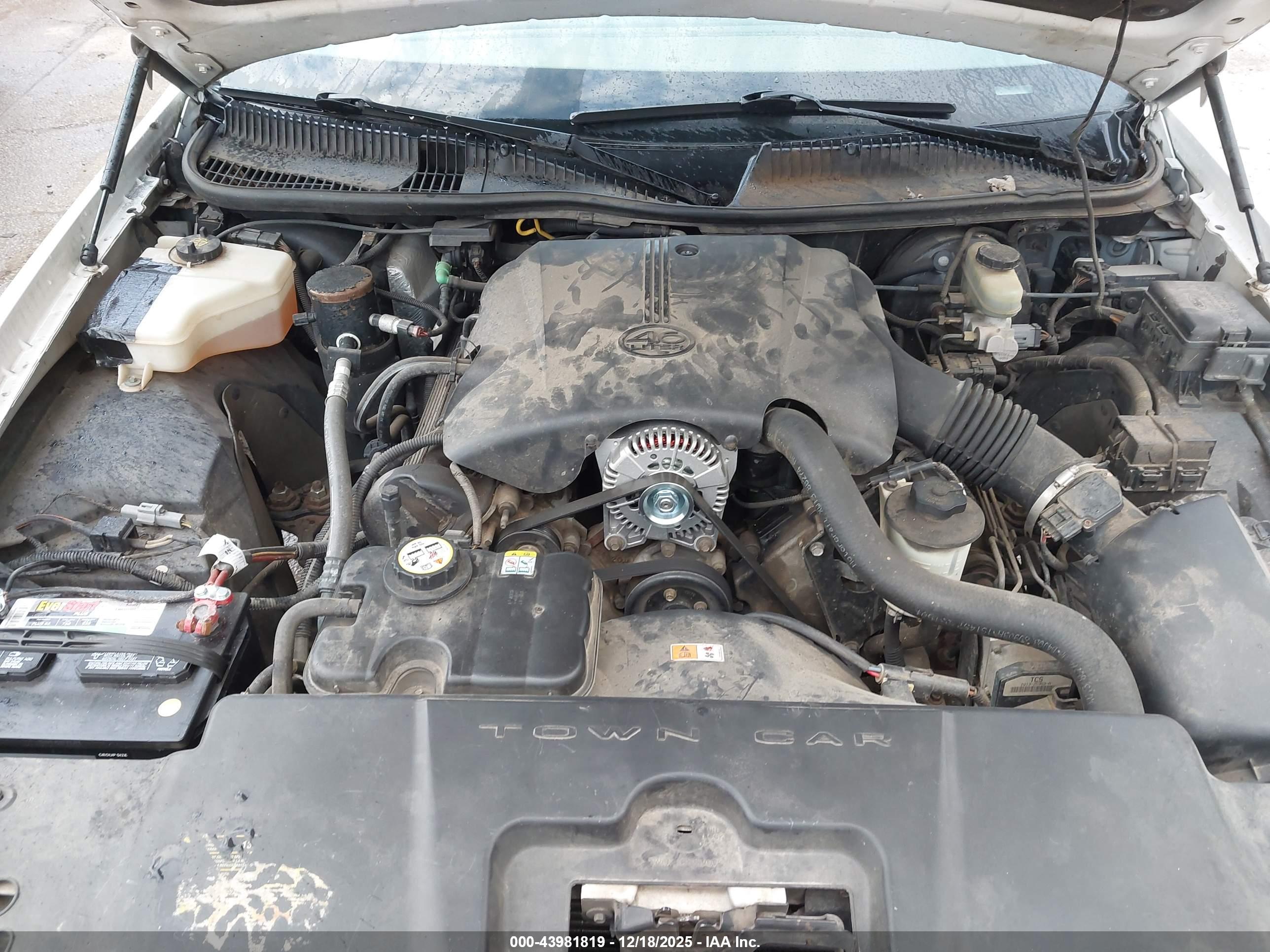 LINCOLN TOWN image 10