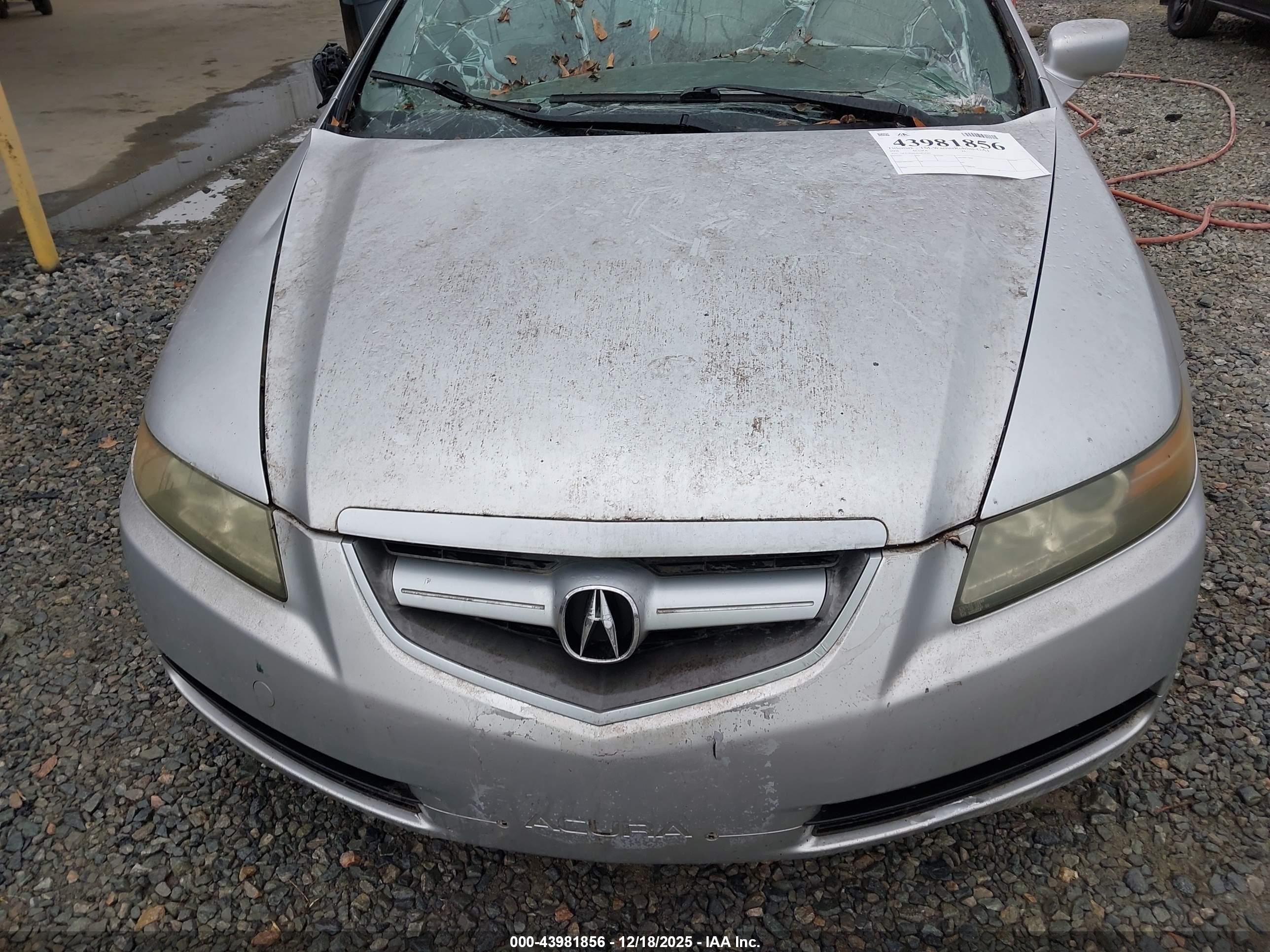ACURA TL image 10