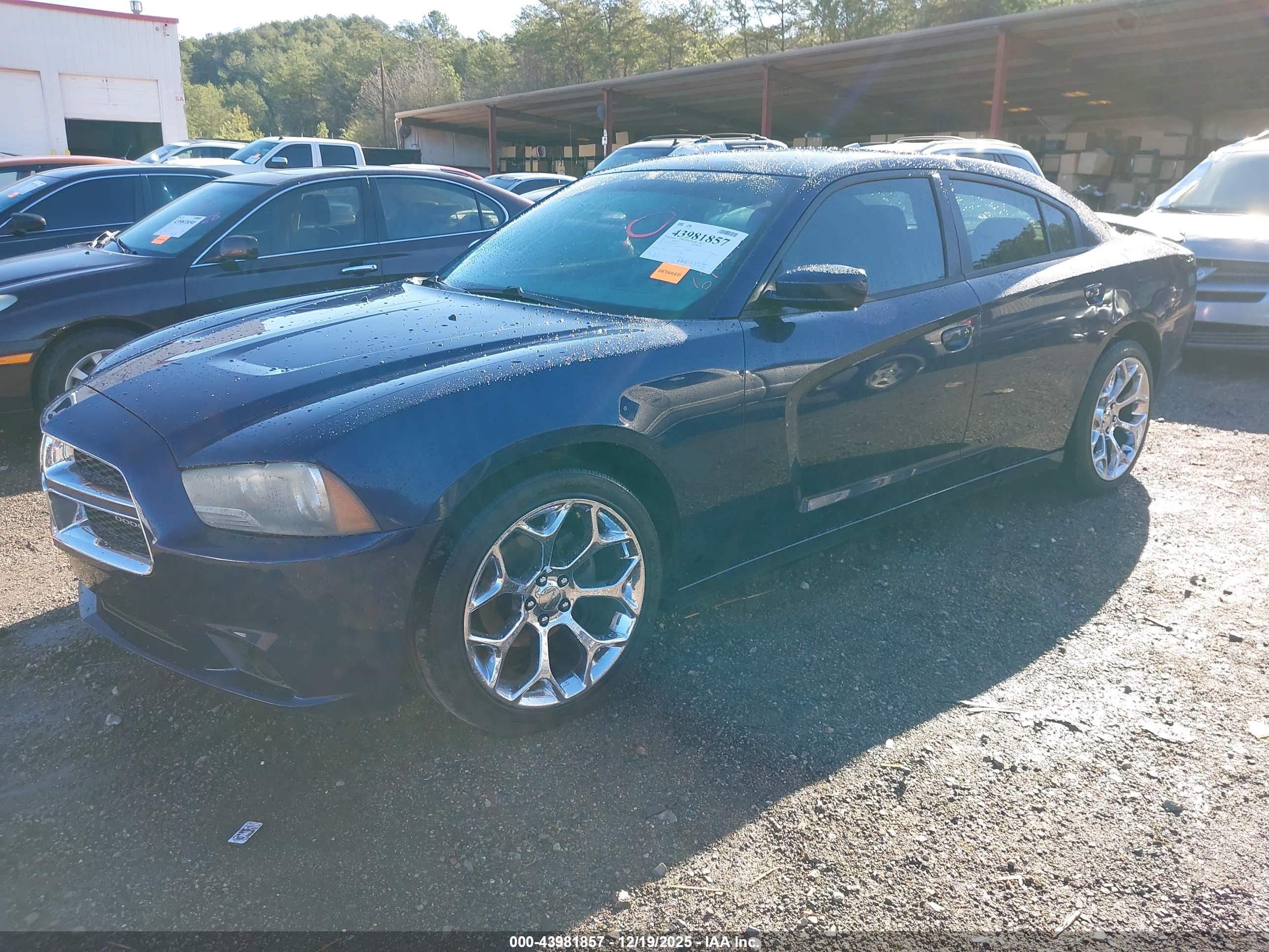 DODGE CHARGER image 2