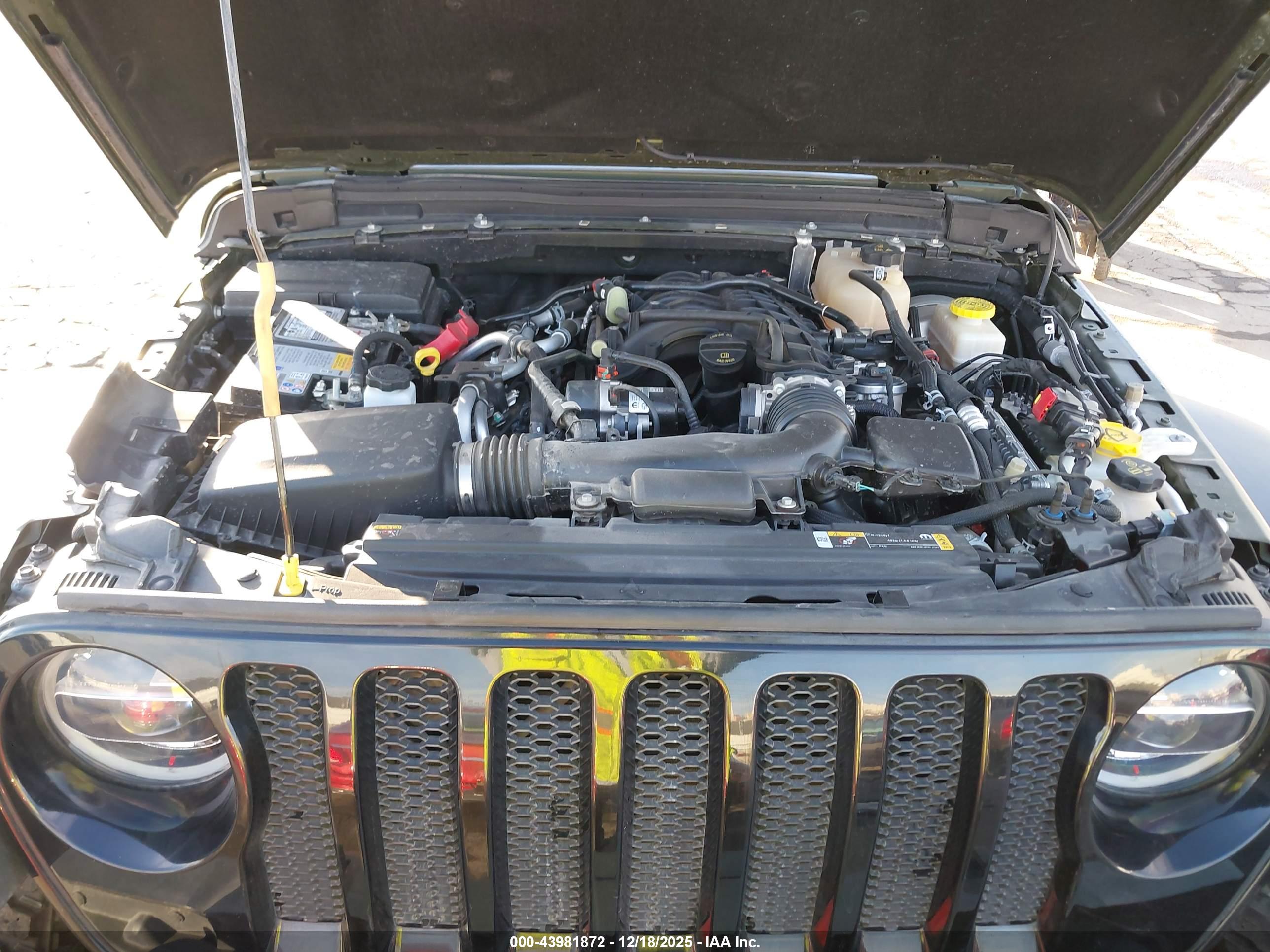 JEEP WRANGLER image 10