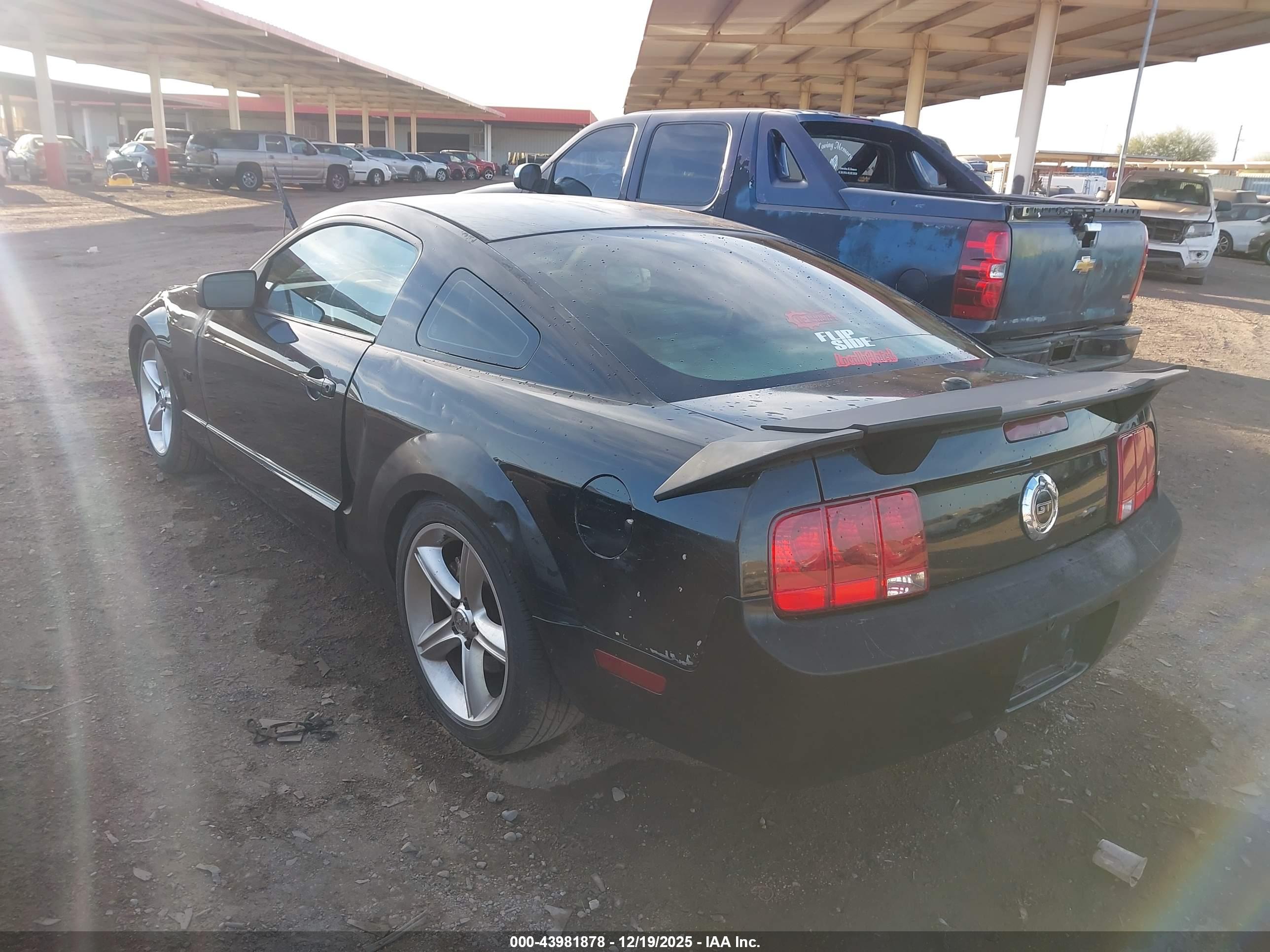 FORD MUSTANG image 3