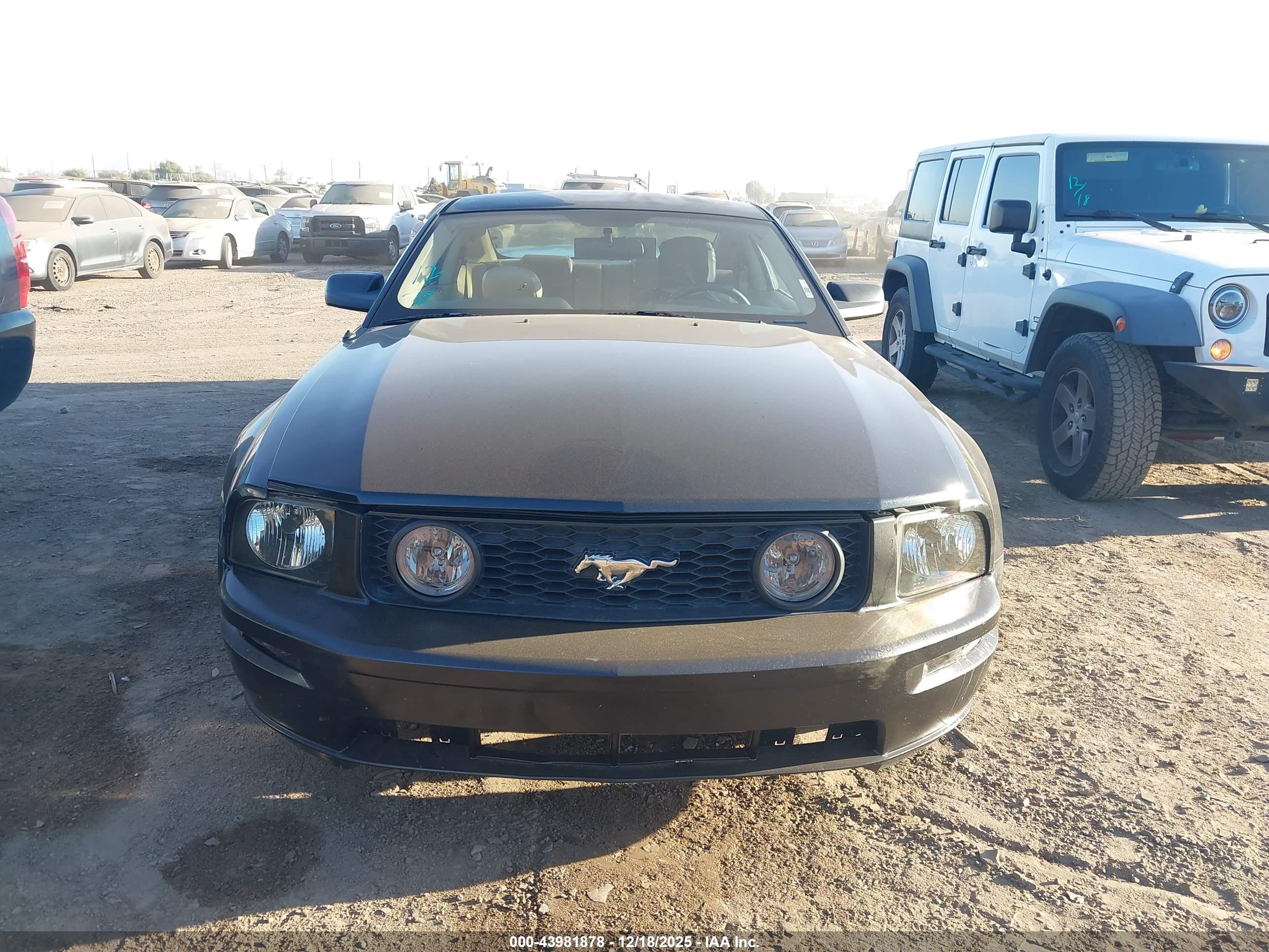 FORD MUSTANG image 6