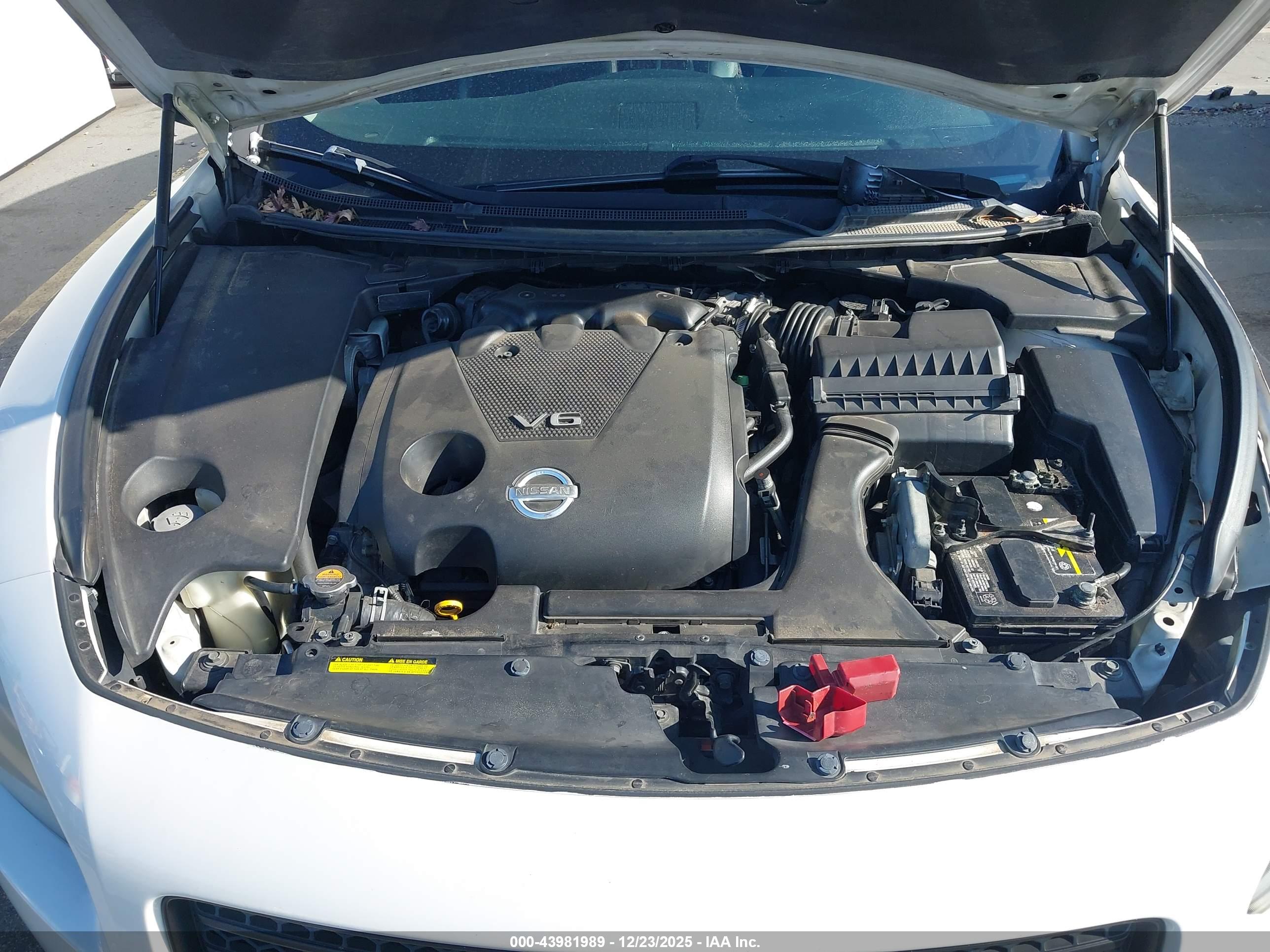 NISSAN MAXIMA image 10