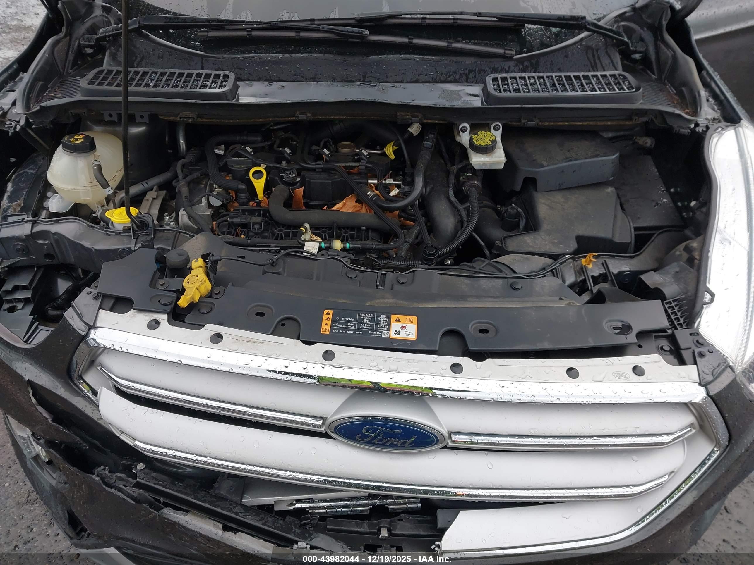 FORD ESCAPE image 10