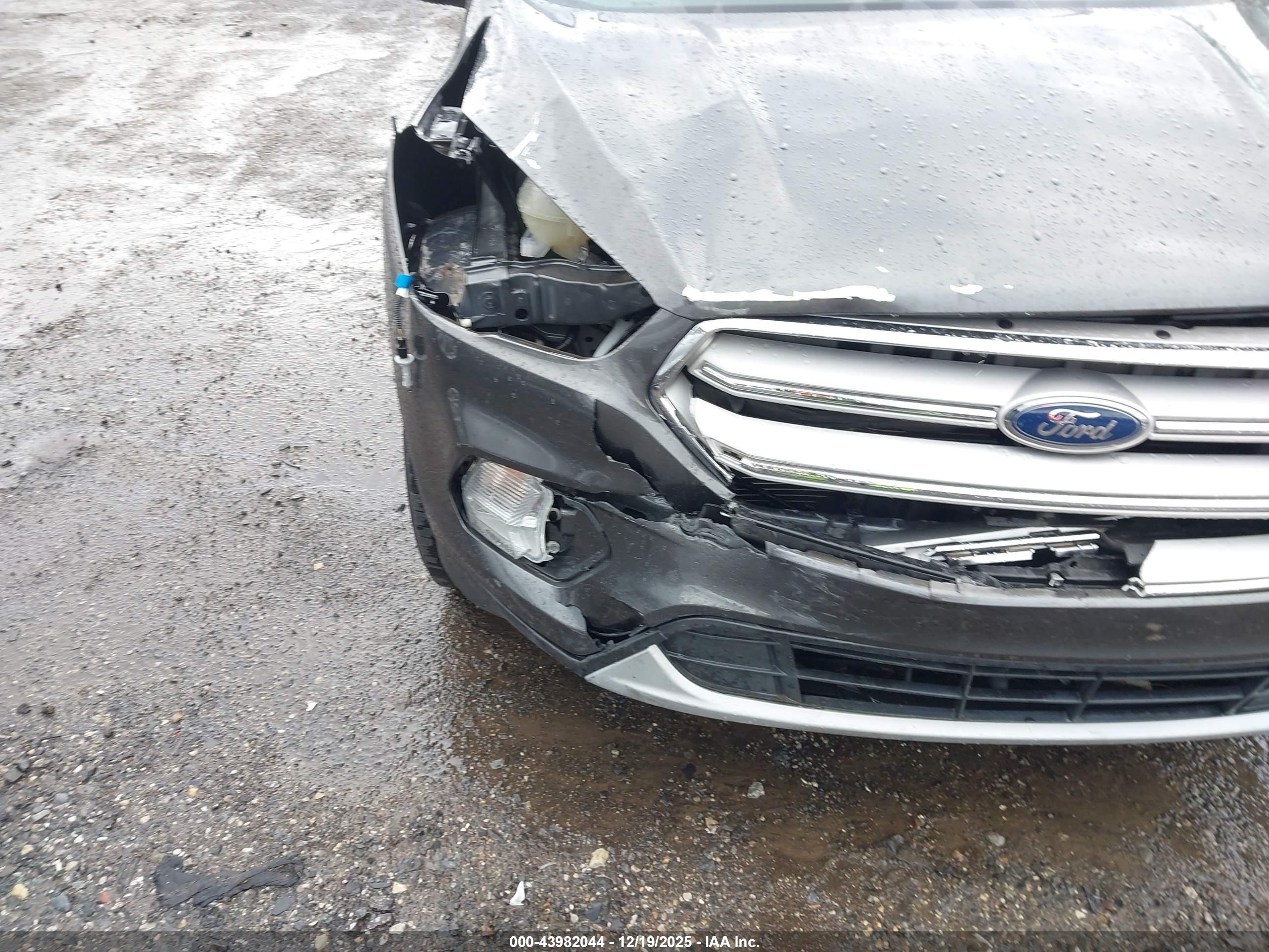 FORD ESCAPE image 6