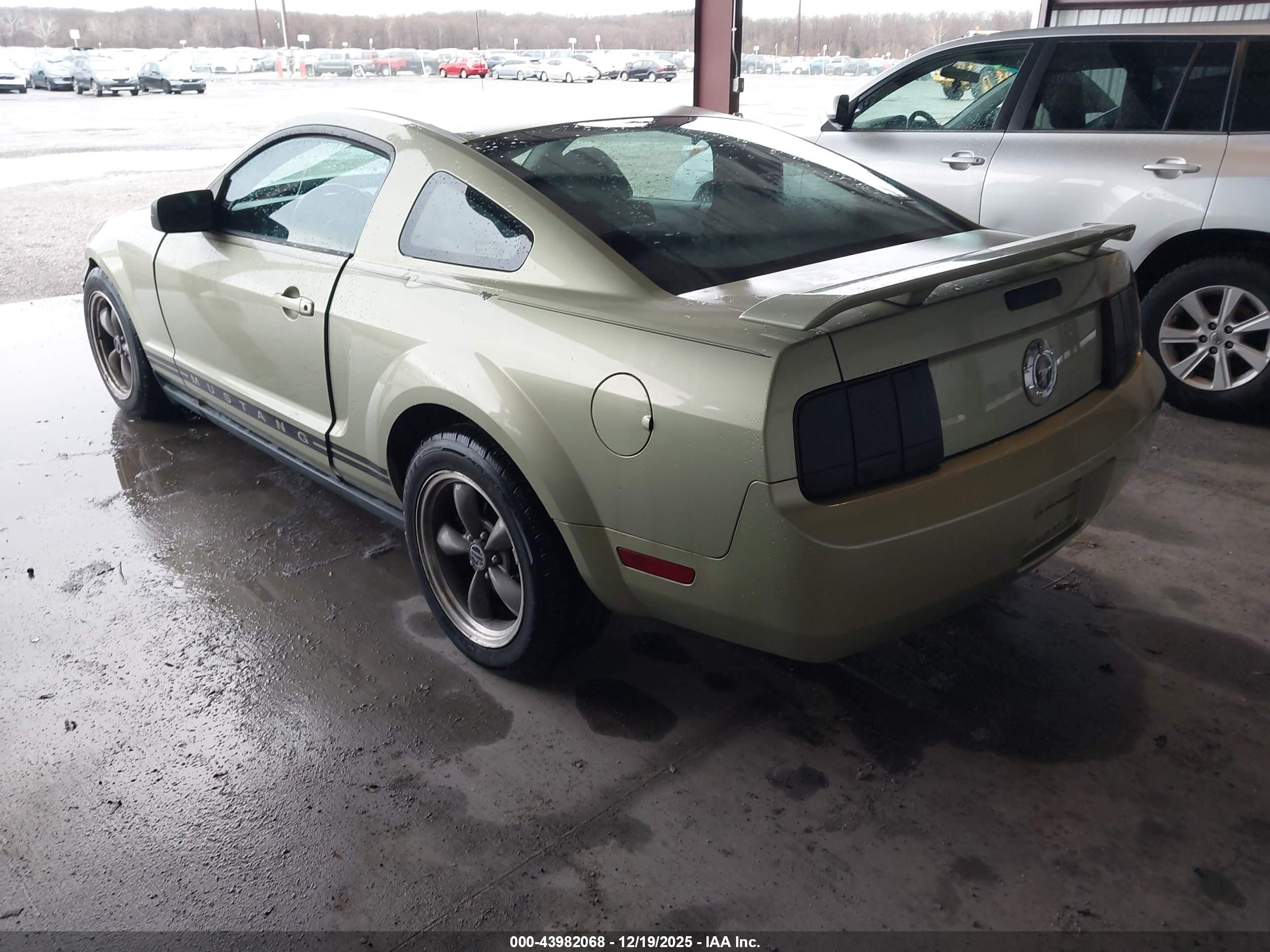 FORD MUSTANG image 3