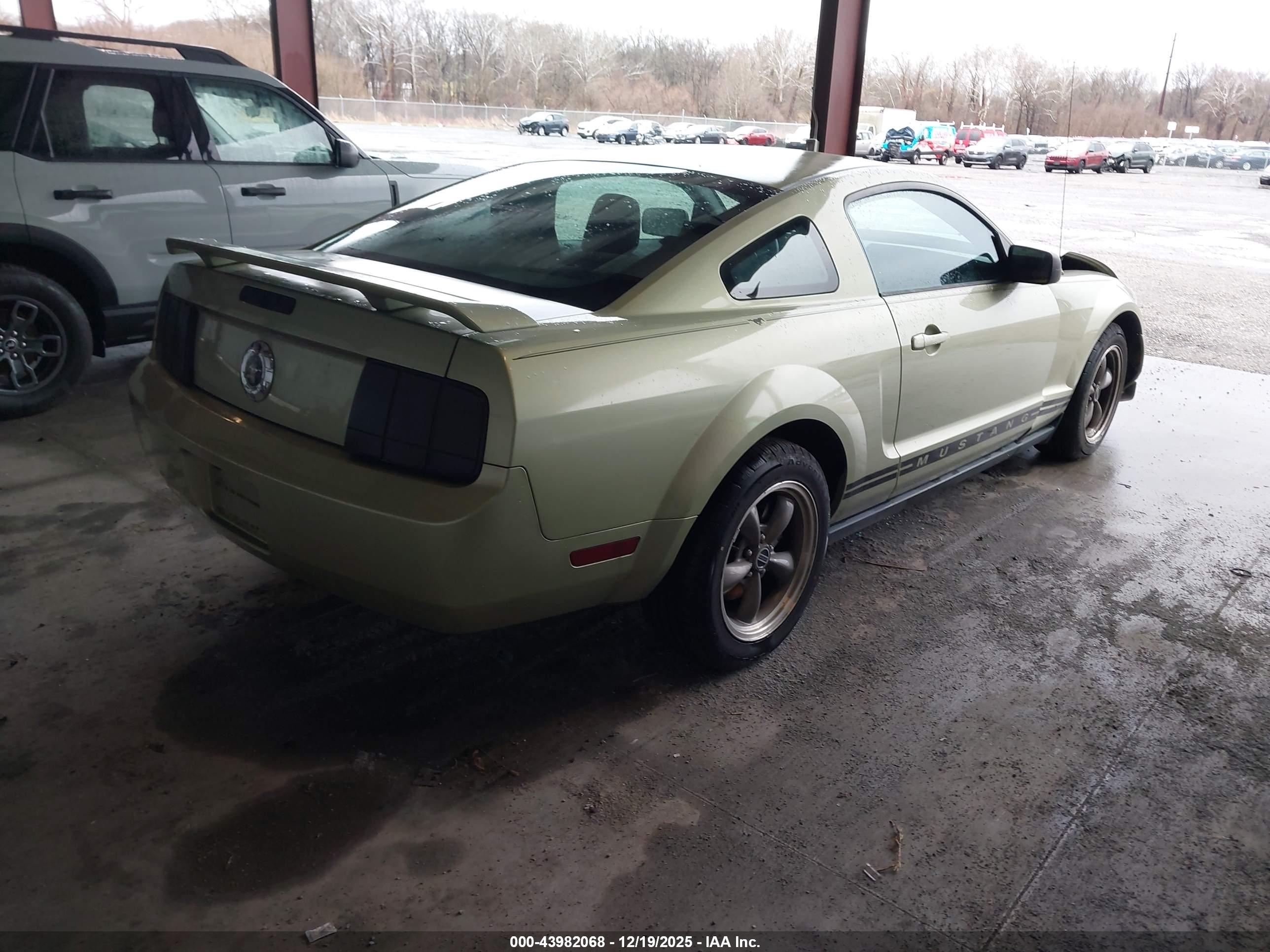 FORD MUSTANG image 4