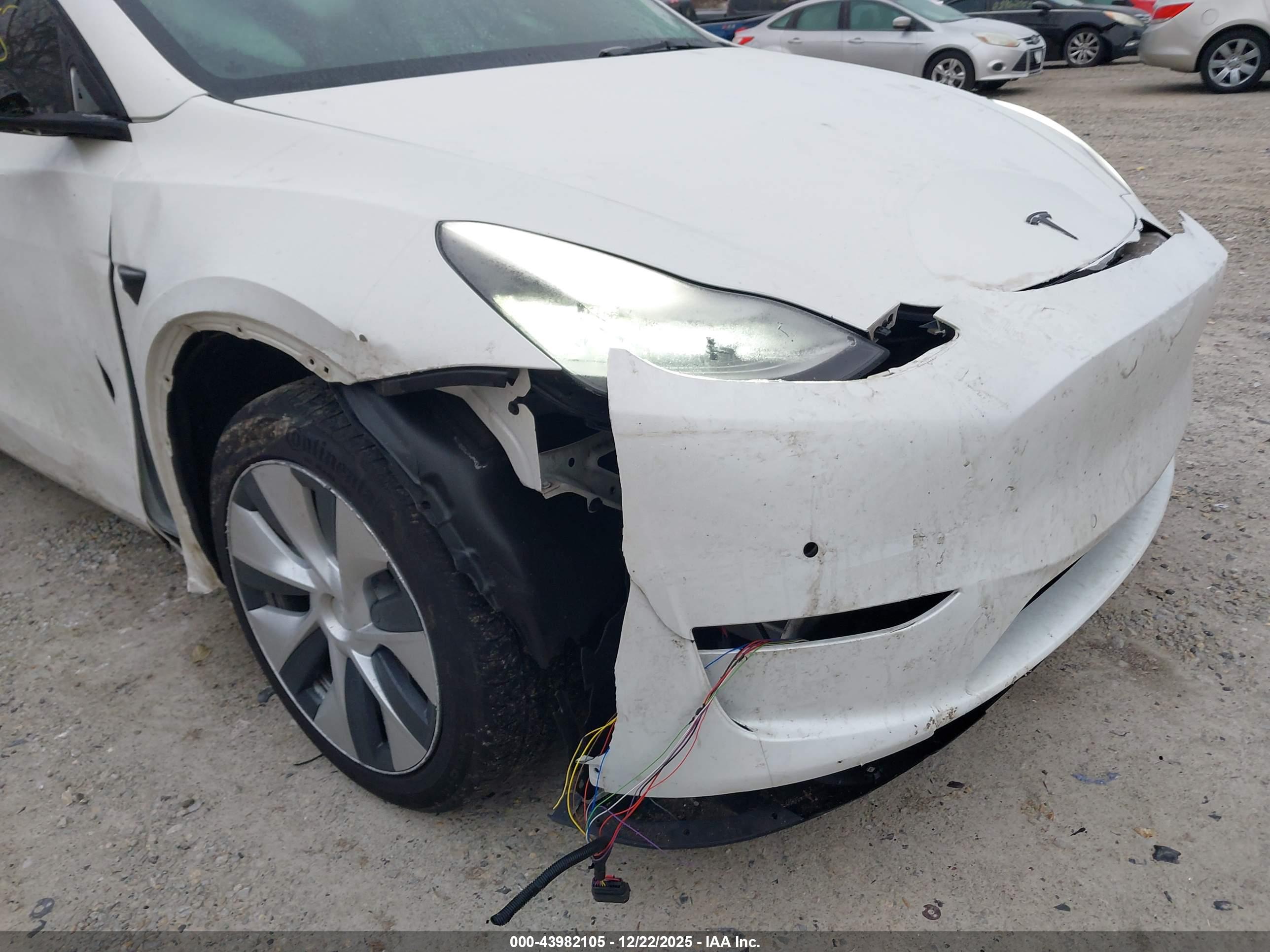 TESLA MODEL image 6