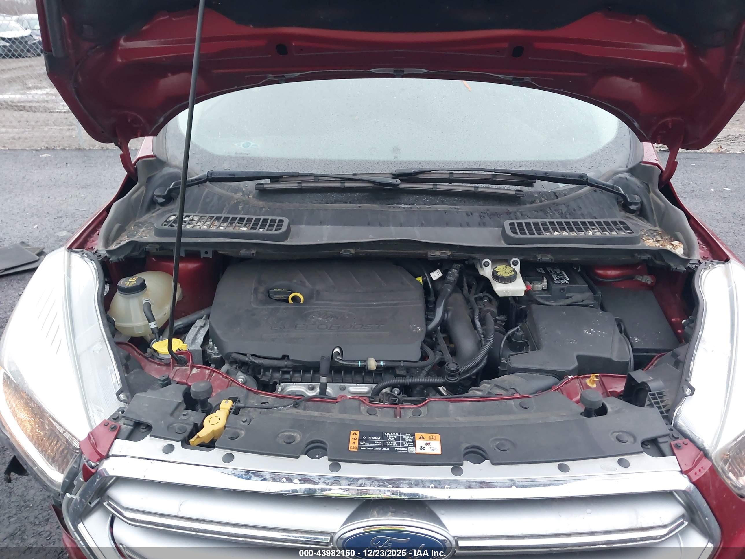 FORD ESCAPE image 10