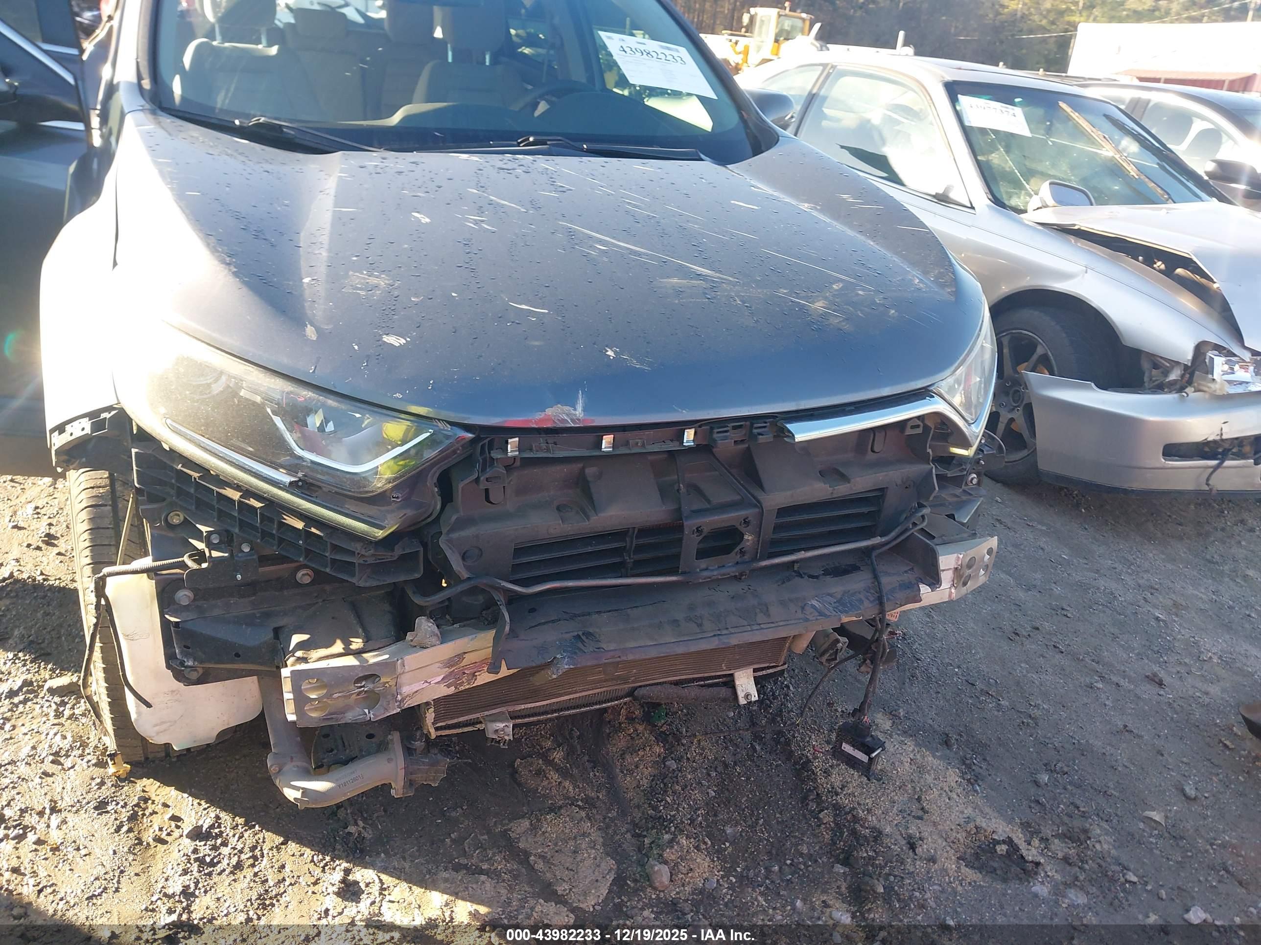 HONDA CR-V image 6