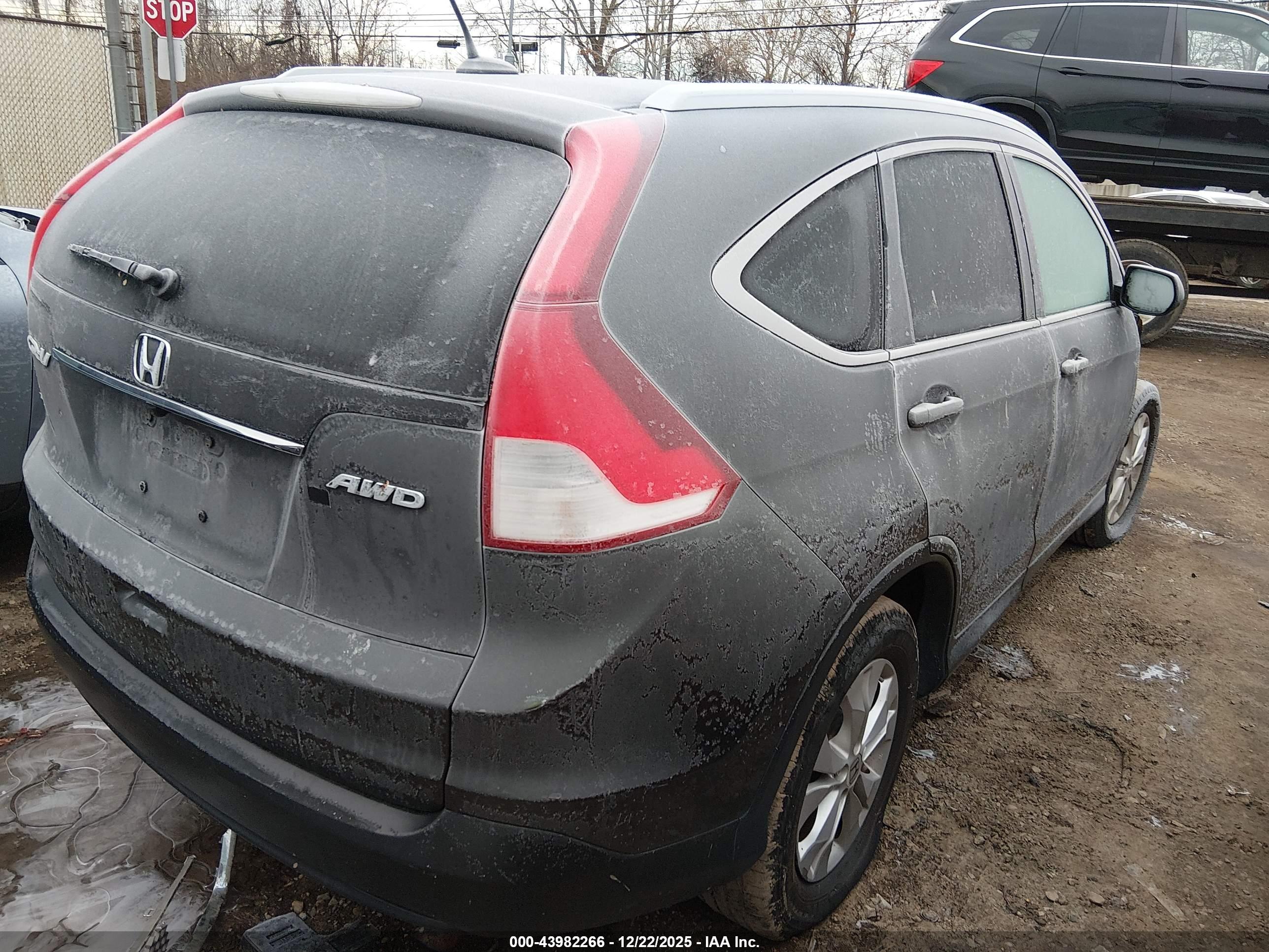 HONDA CR-V image 4