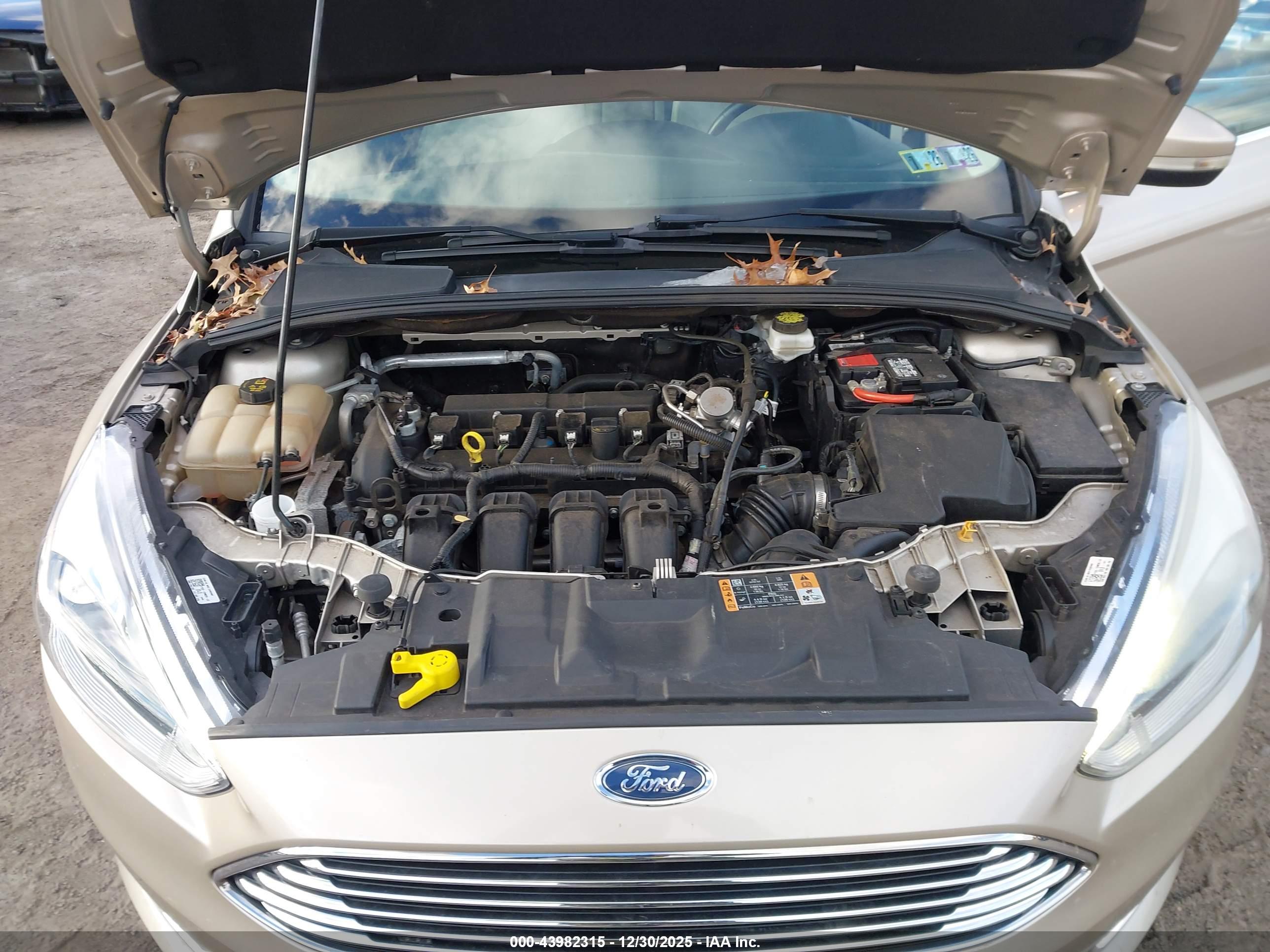 FORD FOCUS image 10