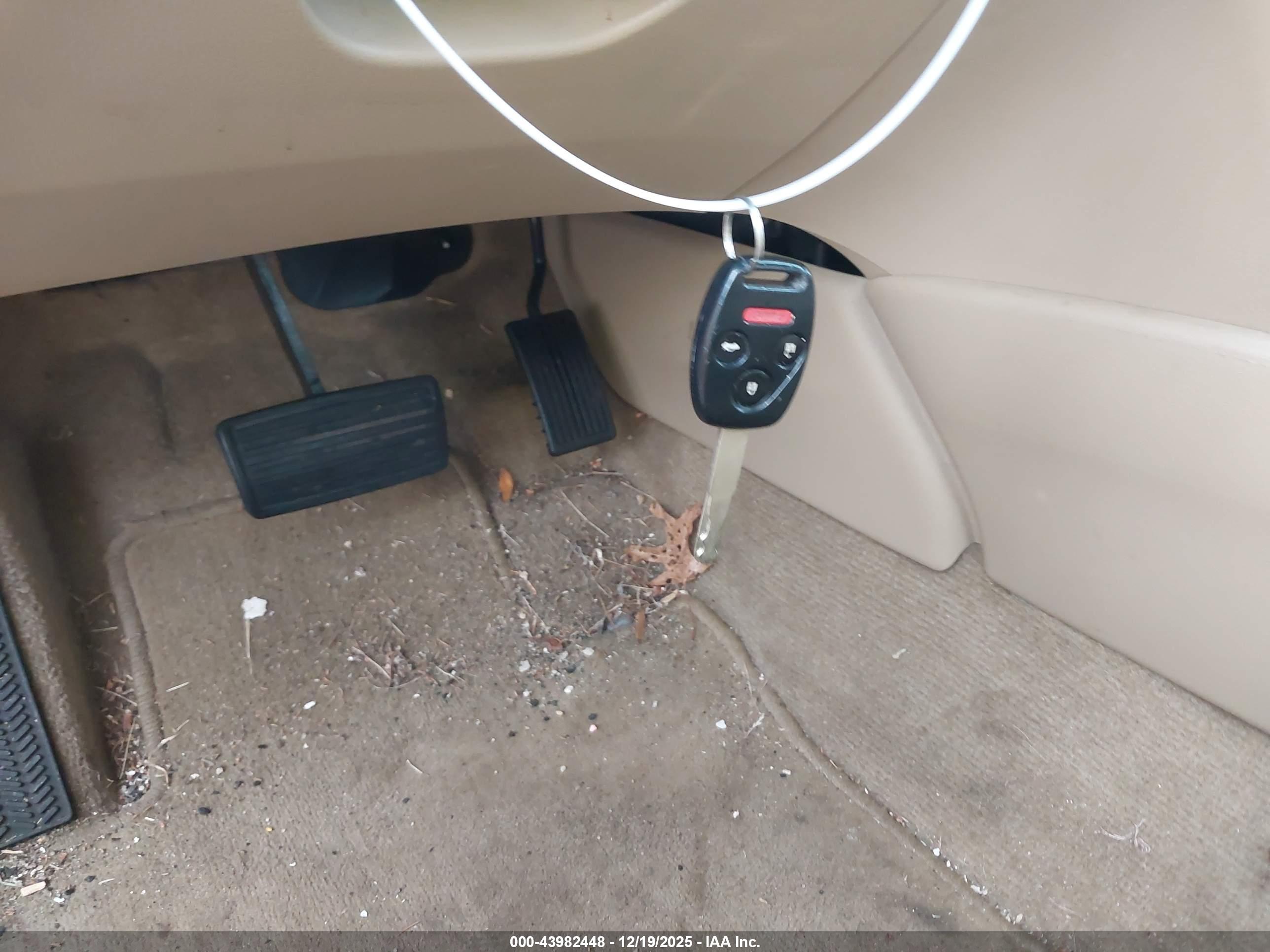 HONDA ACCORD image 11