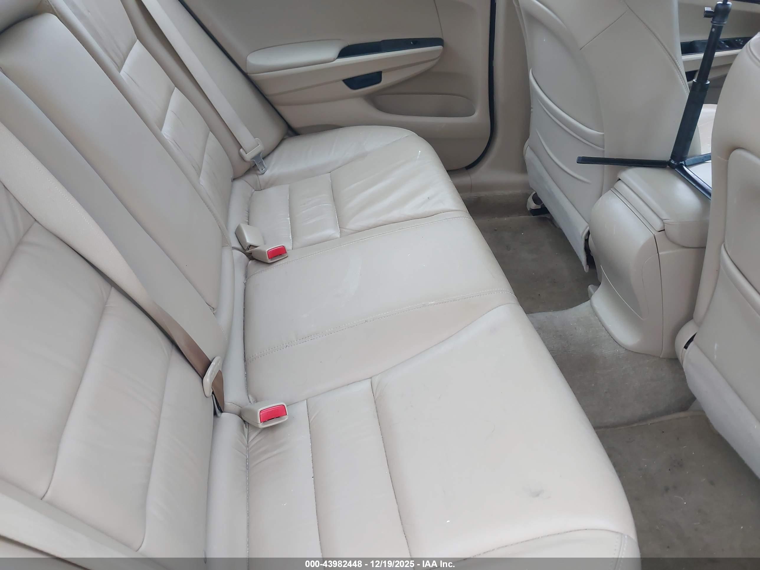 HONDA ACCORD image 8