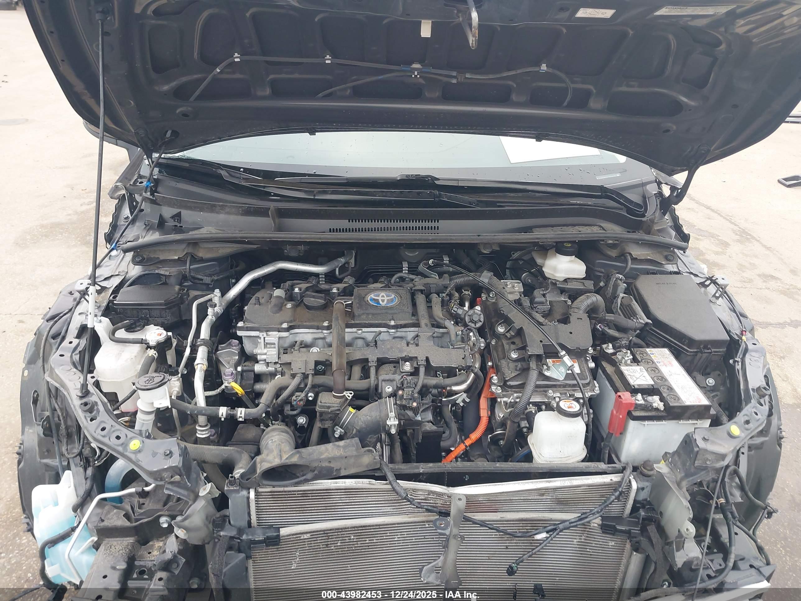 TOYOTA COROLLA image 10