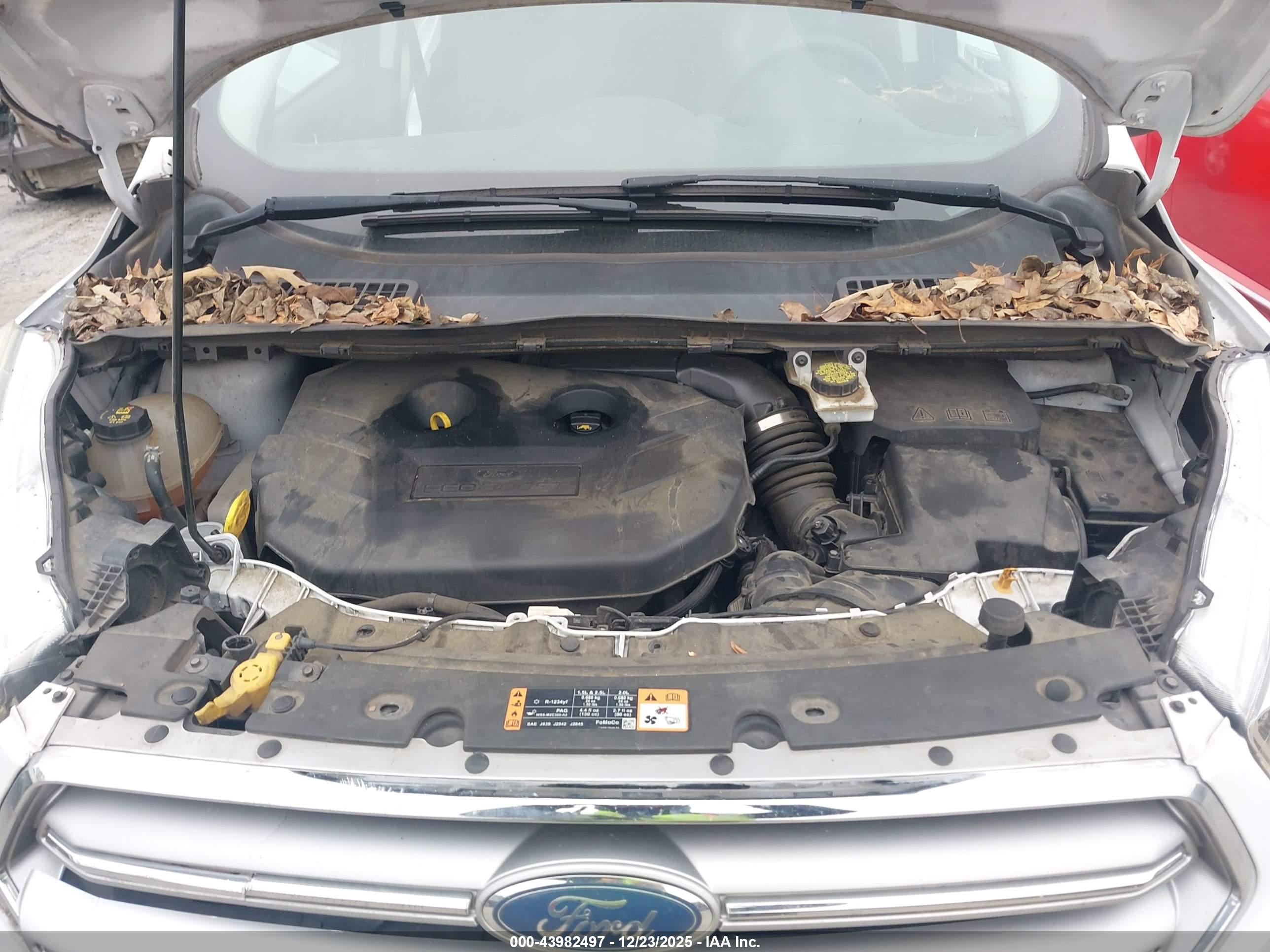 FORD ESCAPE image 10