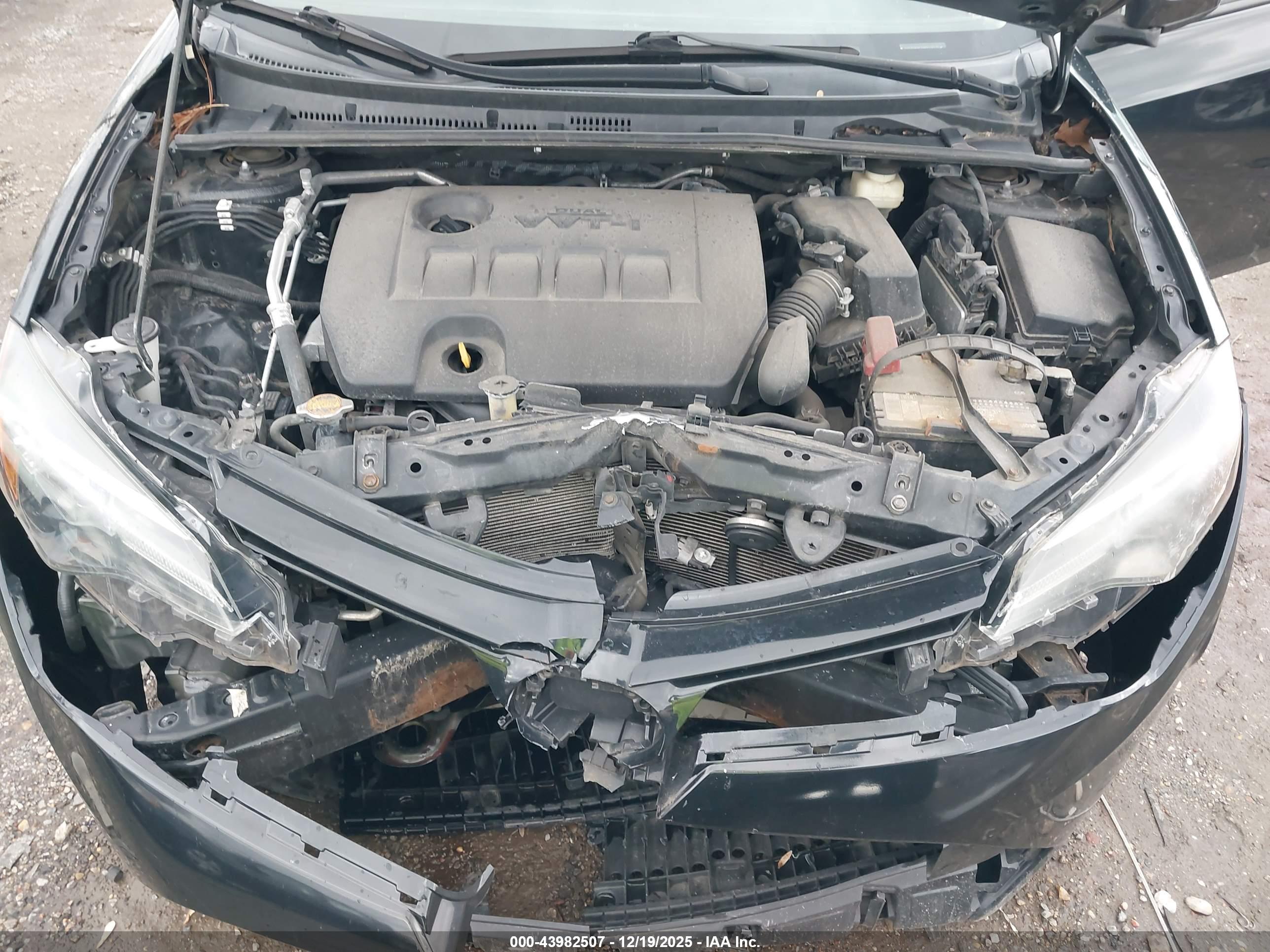 TOYOTA COROLLA image 10