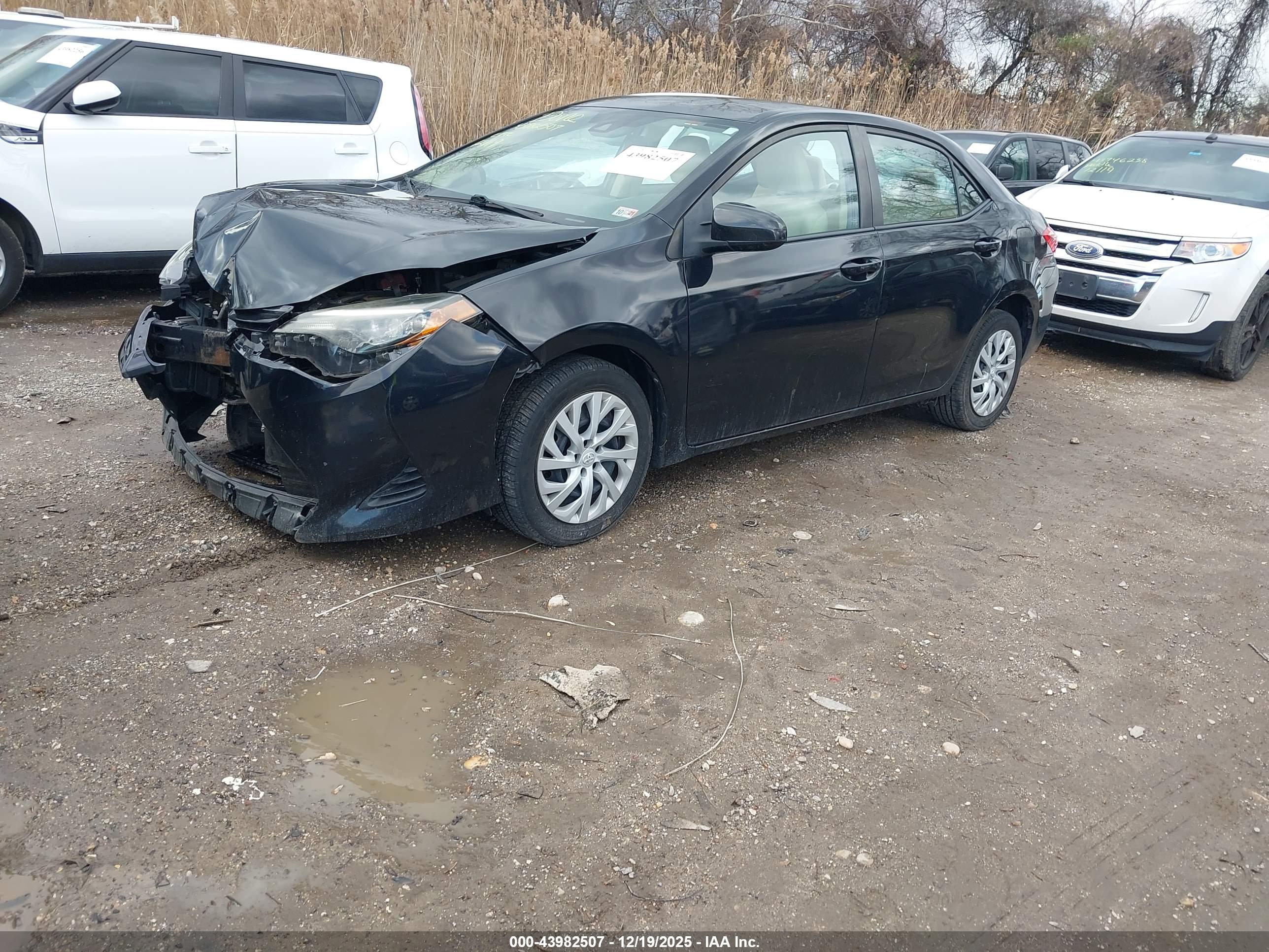 TOYOTA COROLLA image 2