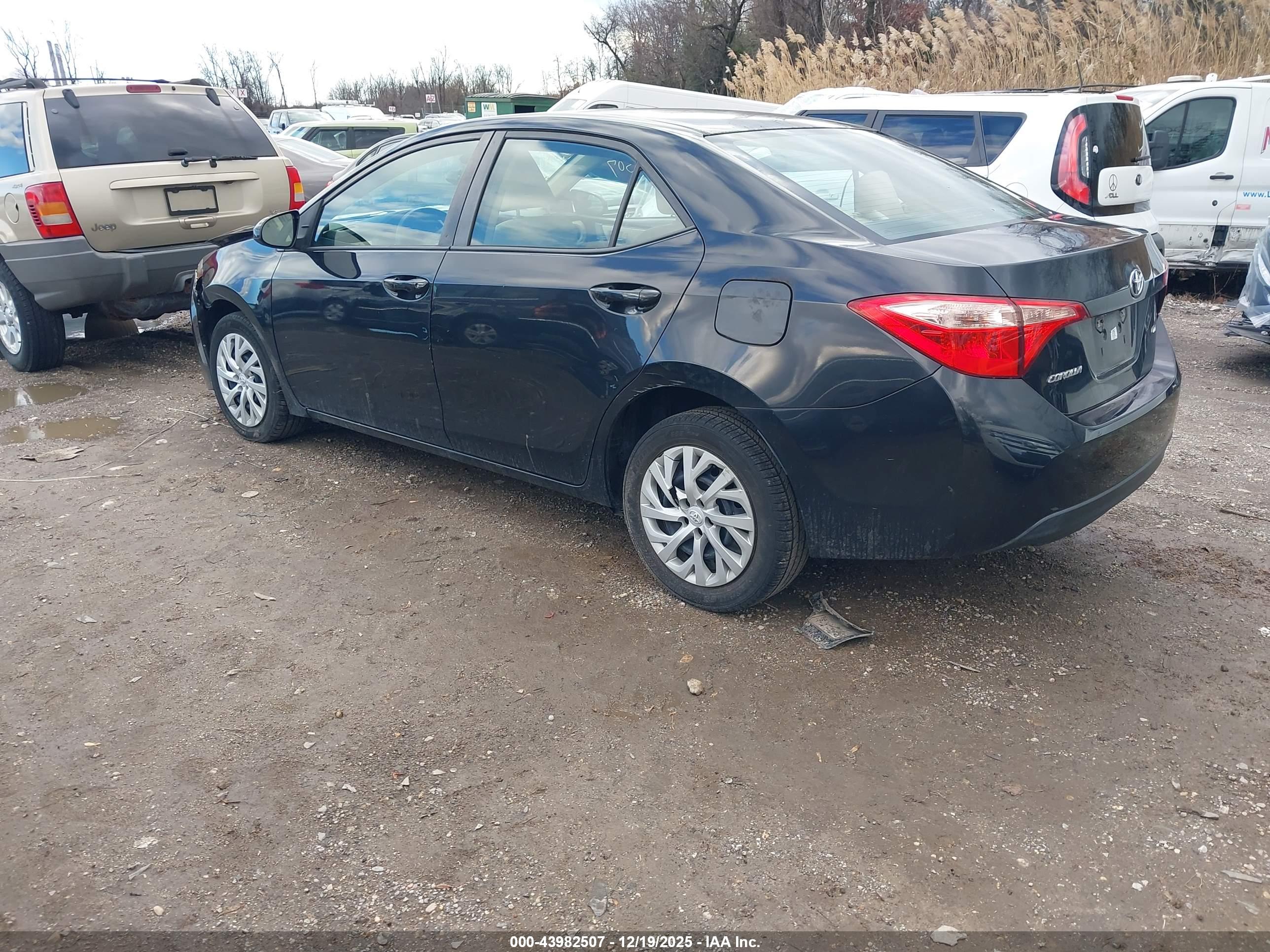 TOYOTA COROLLA image 3