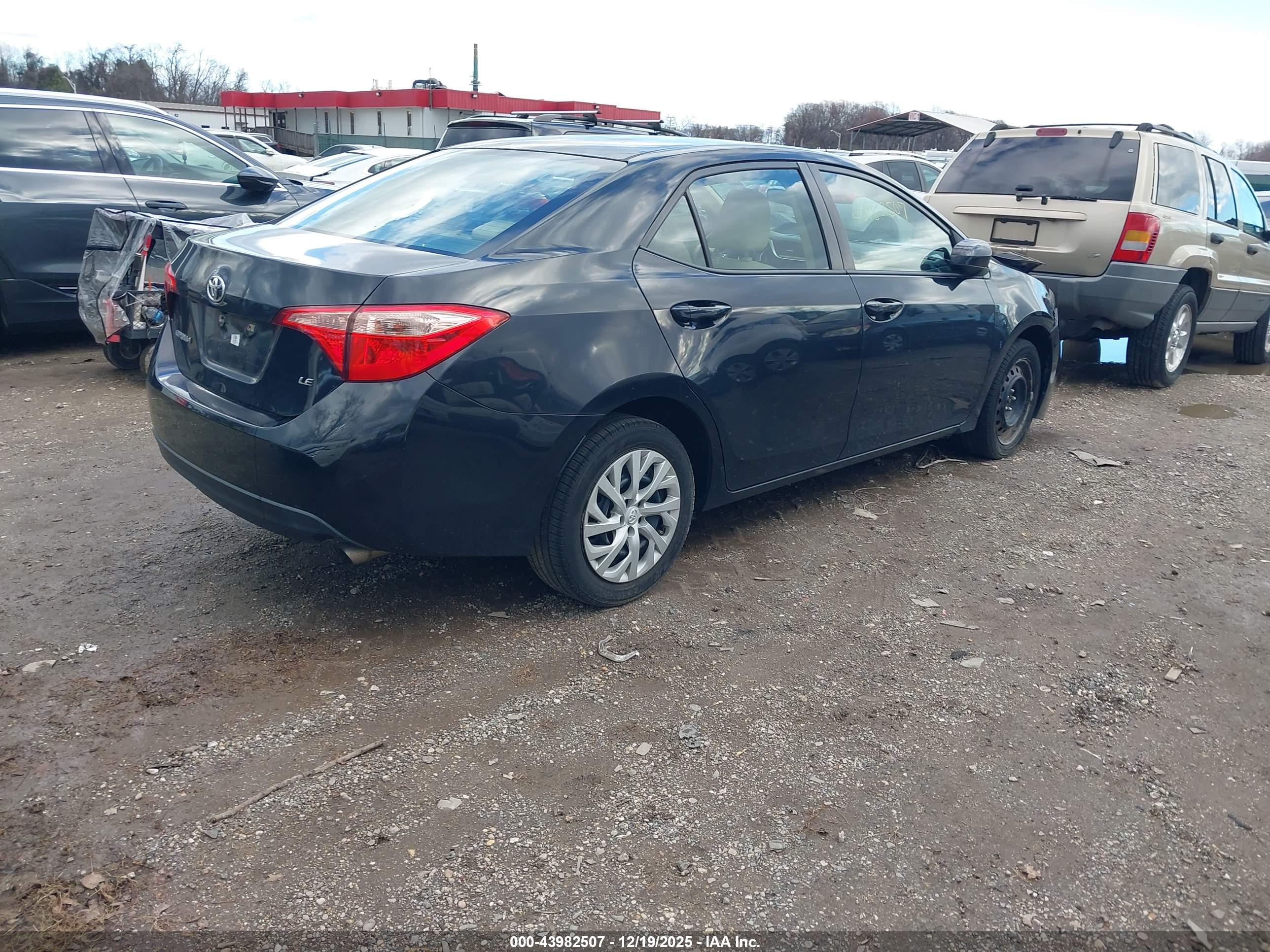TOYOTA COROLLA image 4