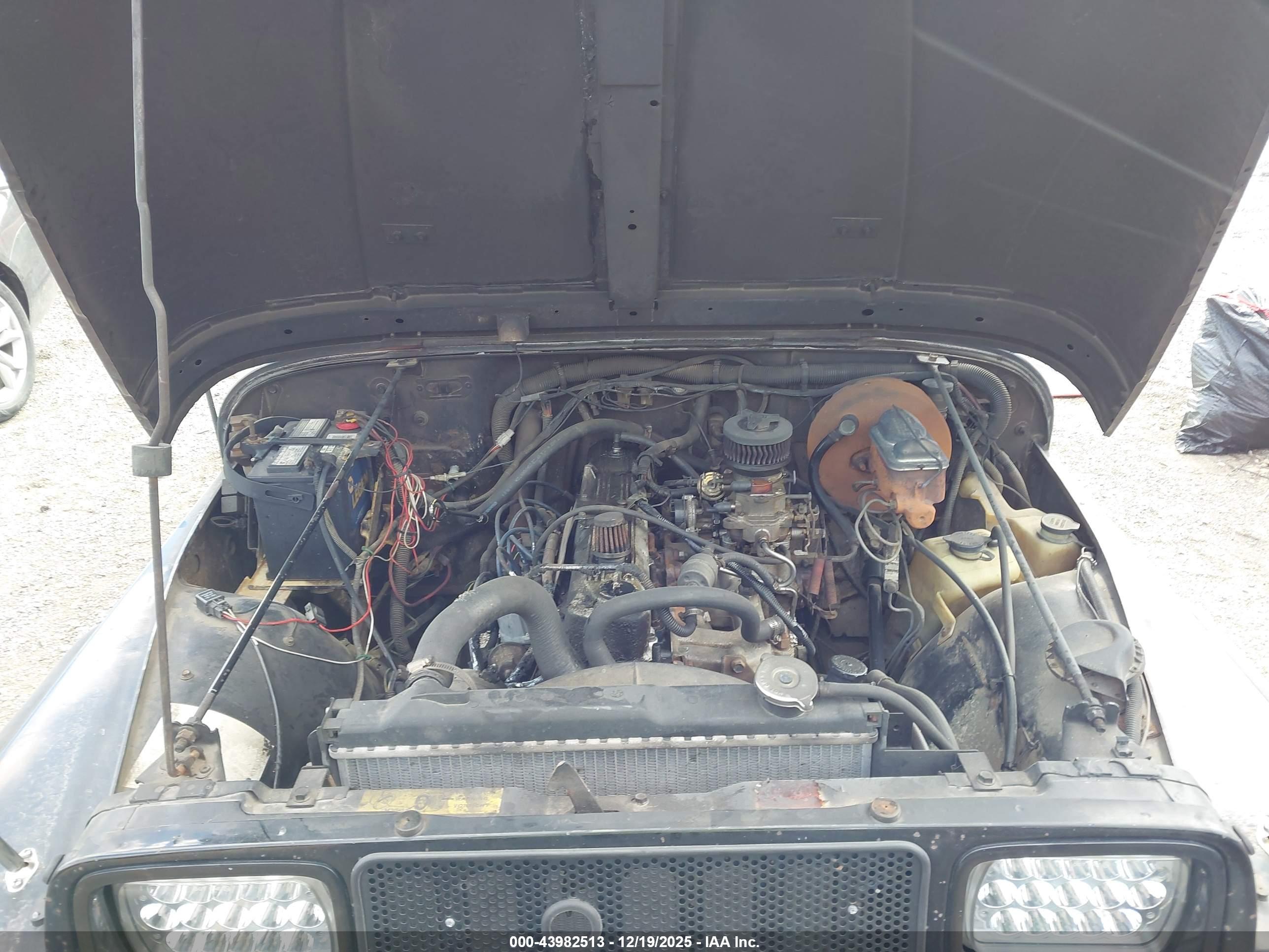 JEEP WRANGLER image 10