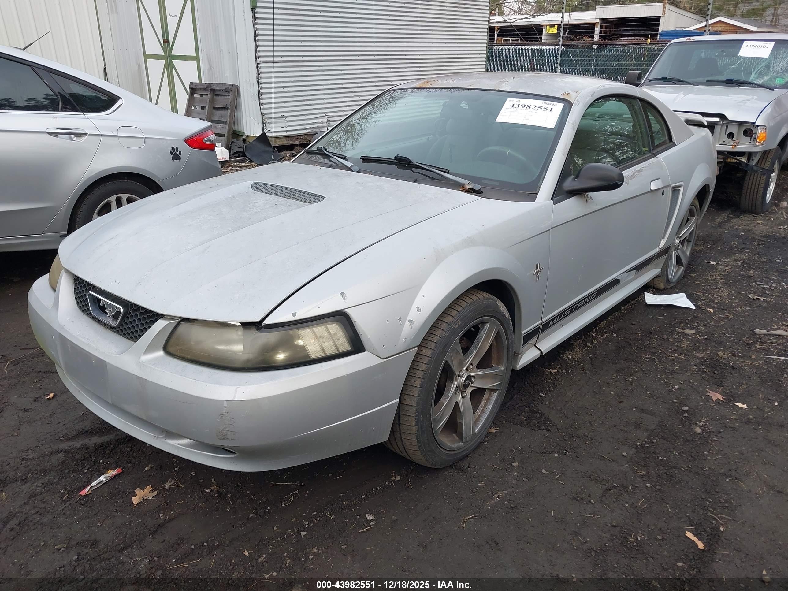 FORD MUSTANG image 2