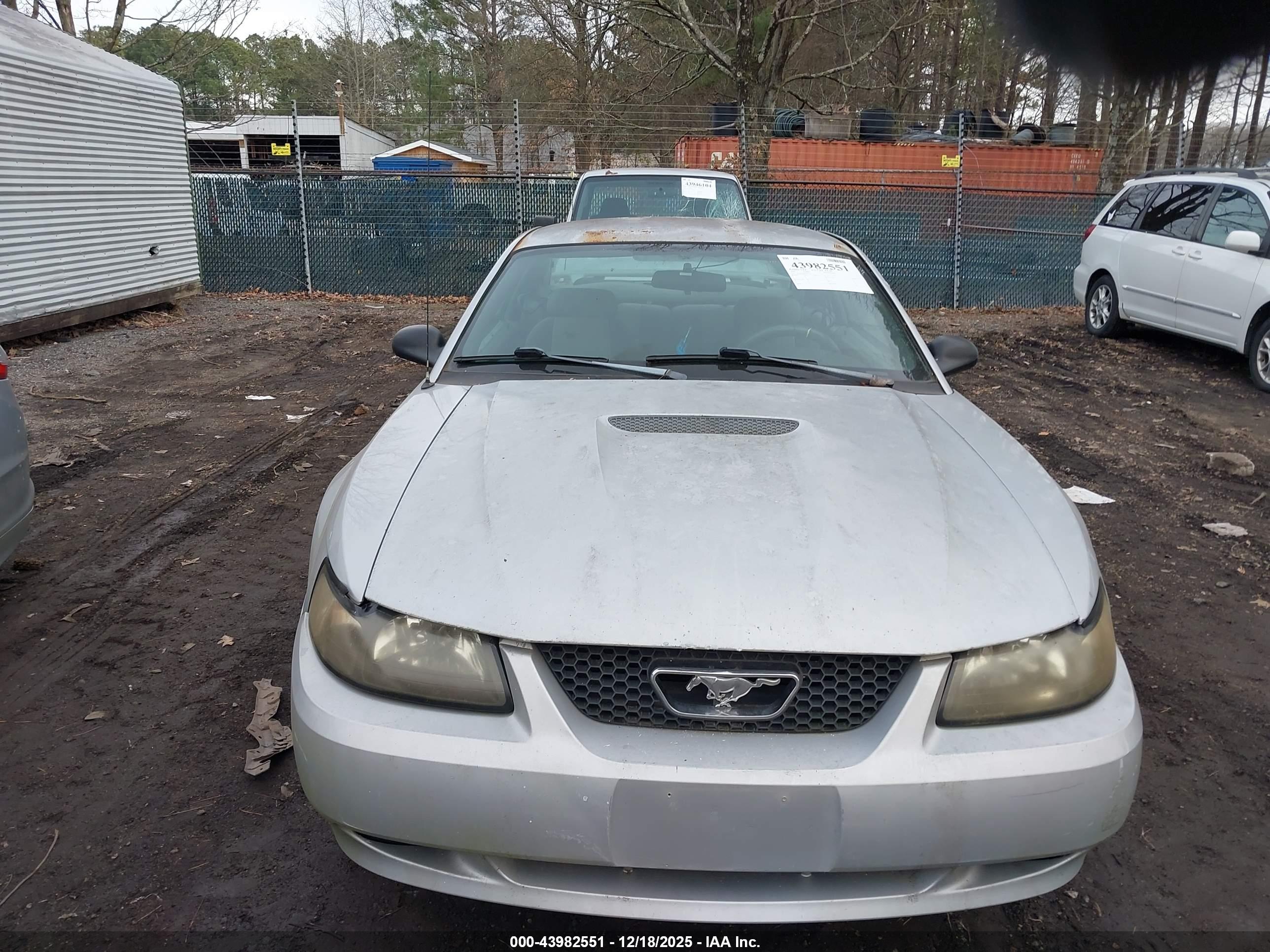 FORD MUSTANG image 6