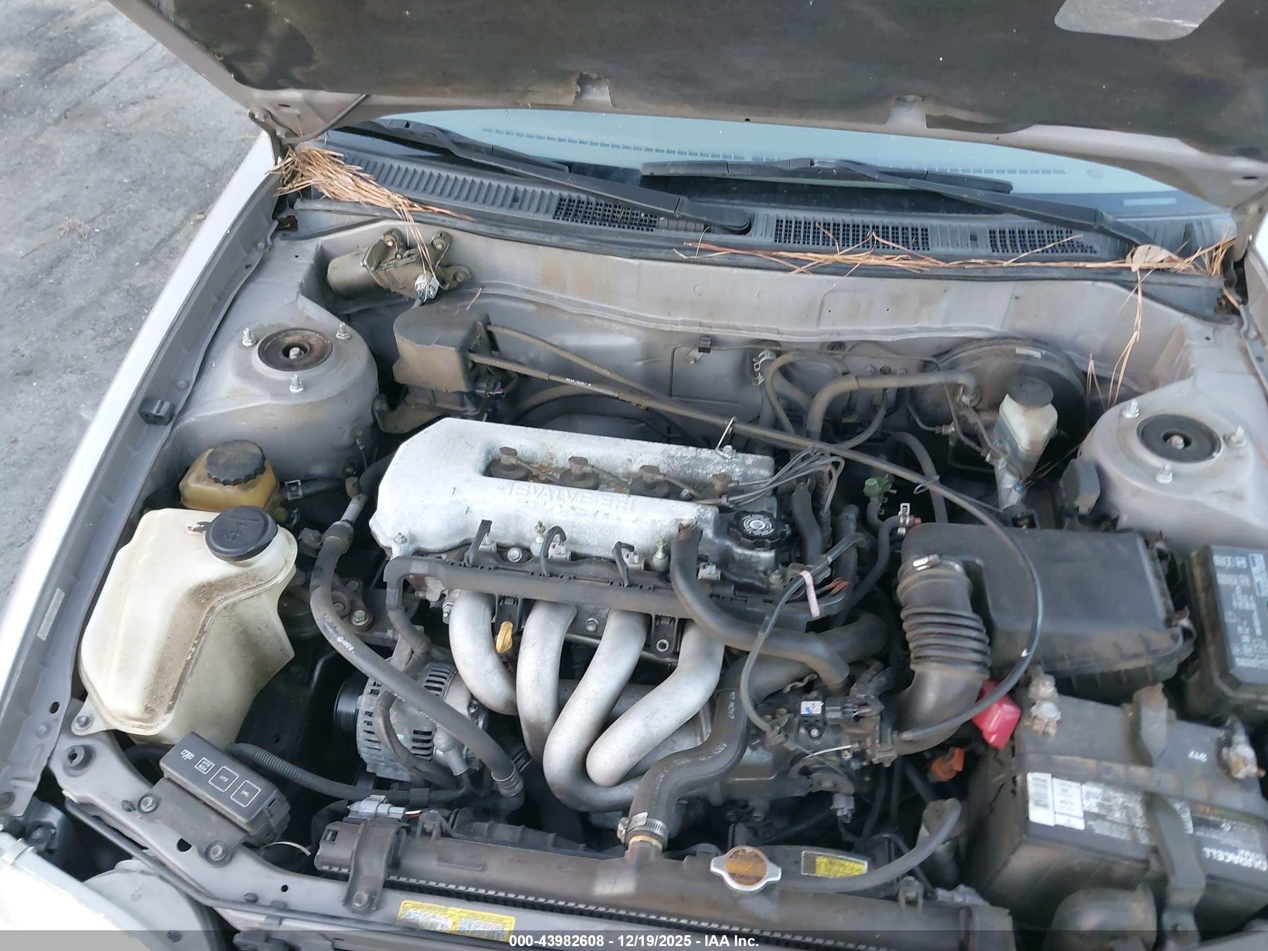 TOYOTA COROLLA image 10