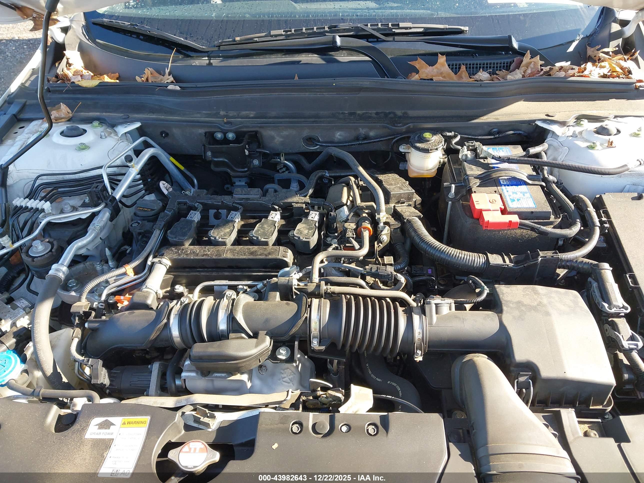 HONDA ACCORD image 10