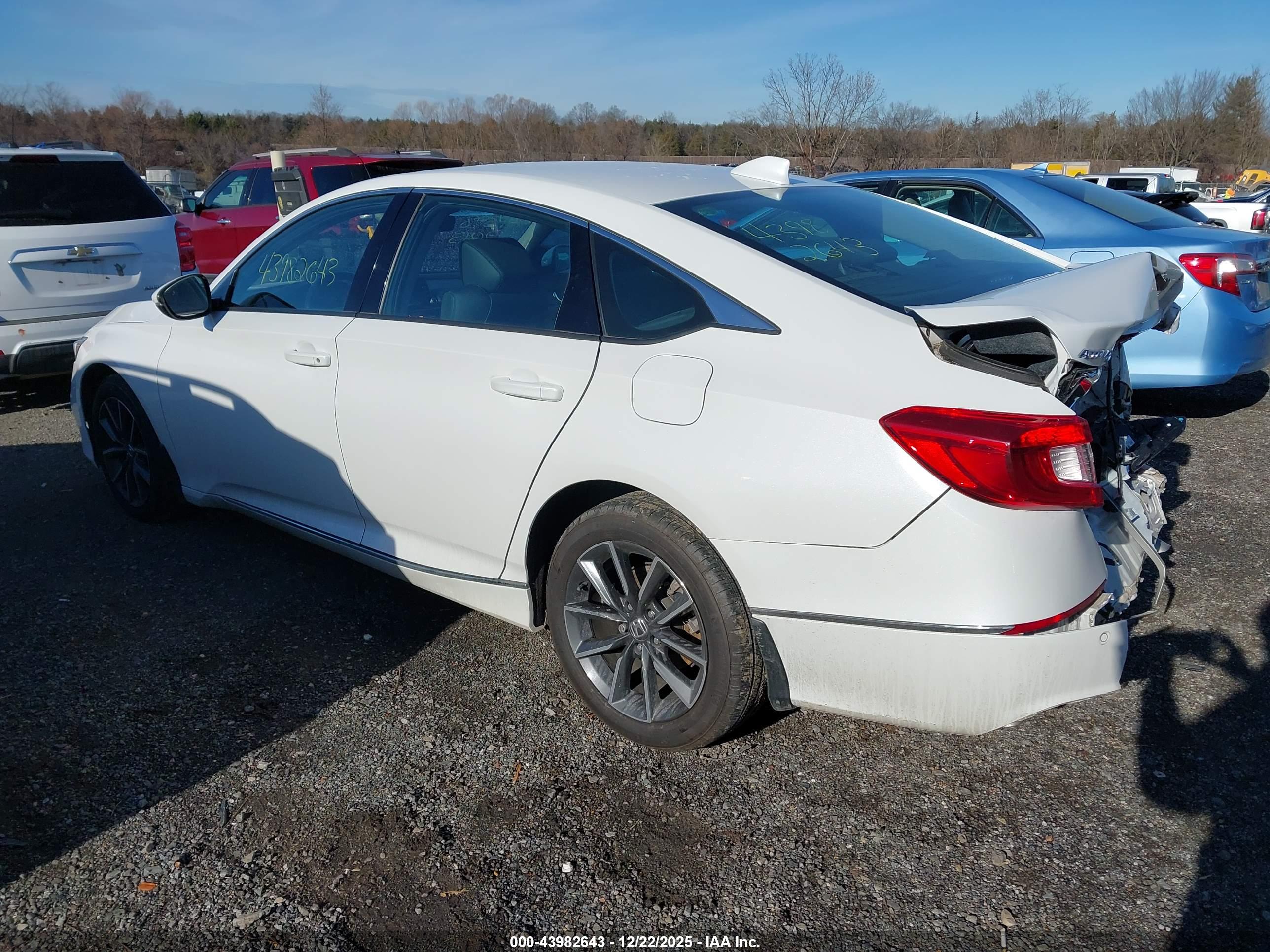 HONDA ACCORD image 3