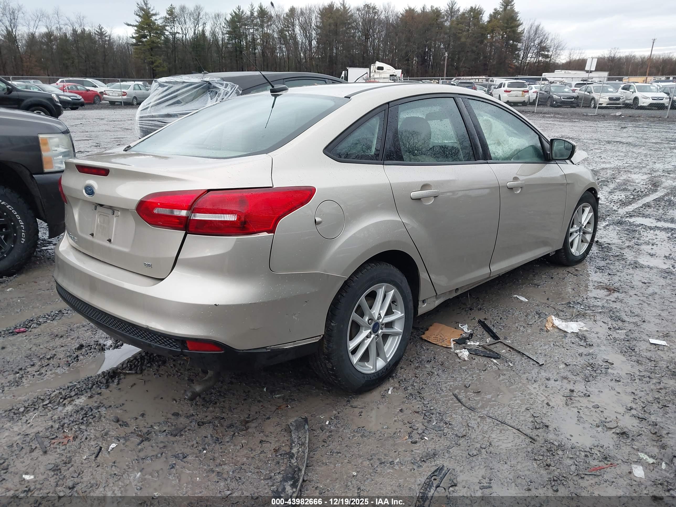FORD FOCUS image 4