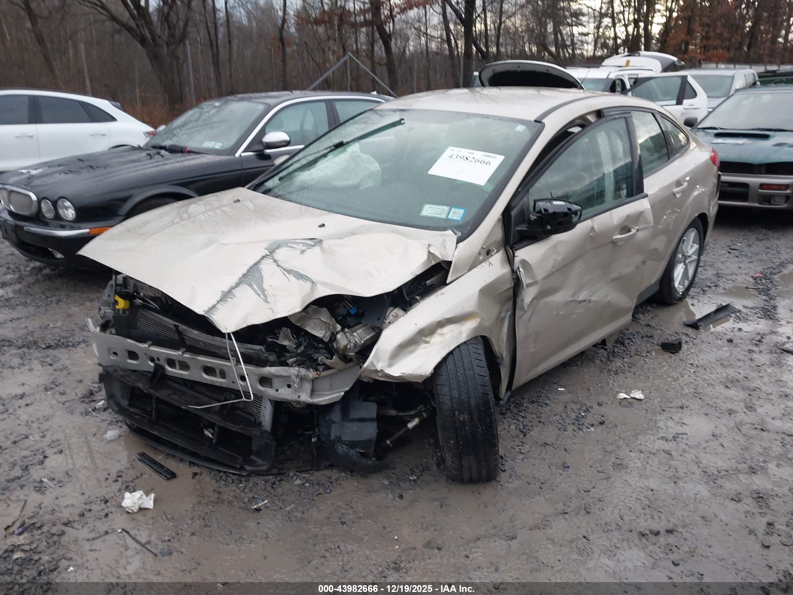 FORD FOCUS image 6