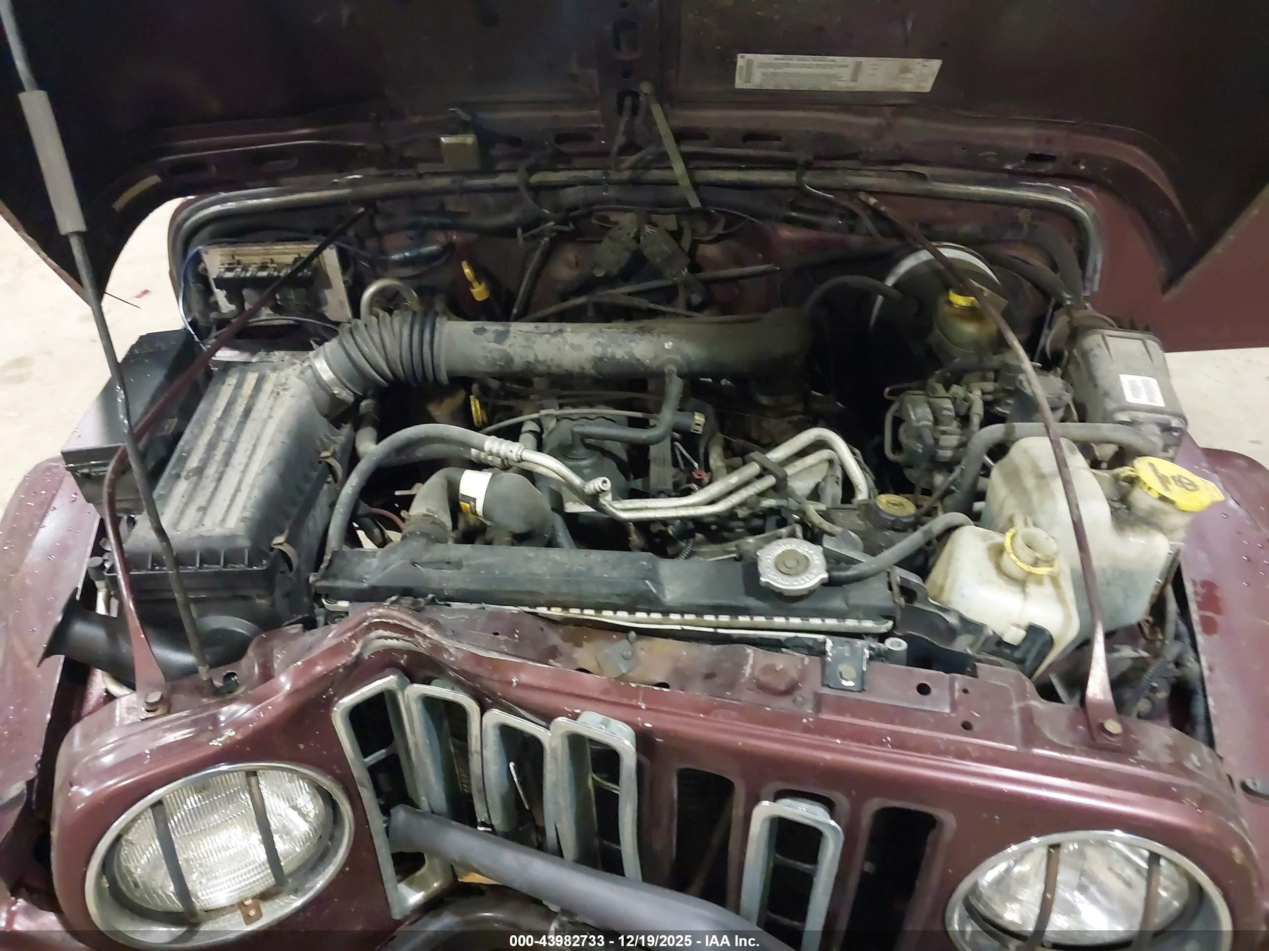JEEP WRANGLER image 10