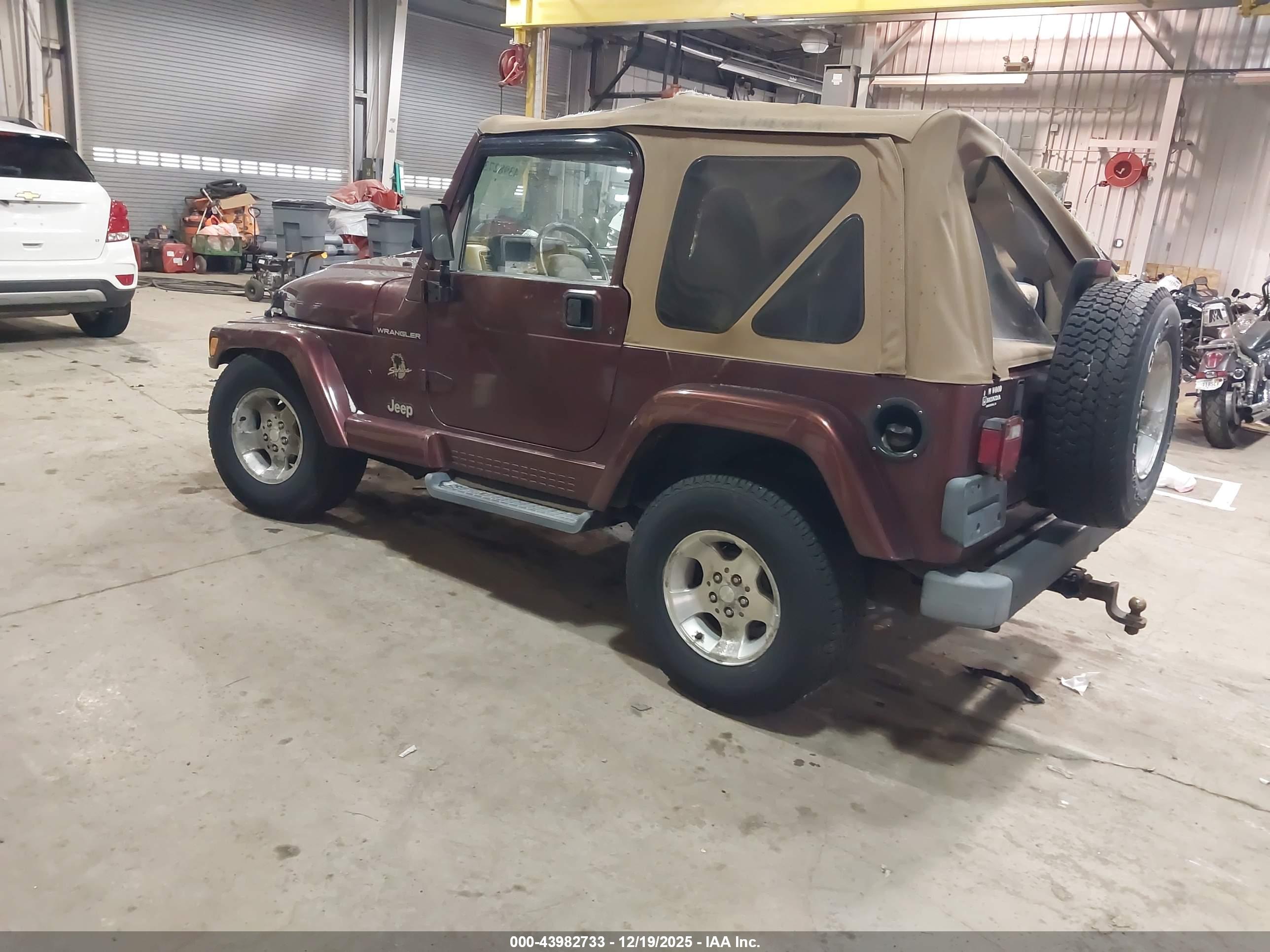 JEEP WRANGLER image 3