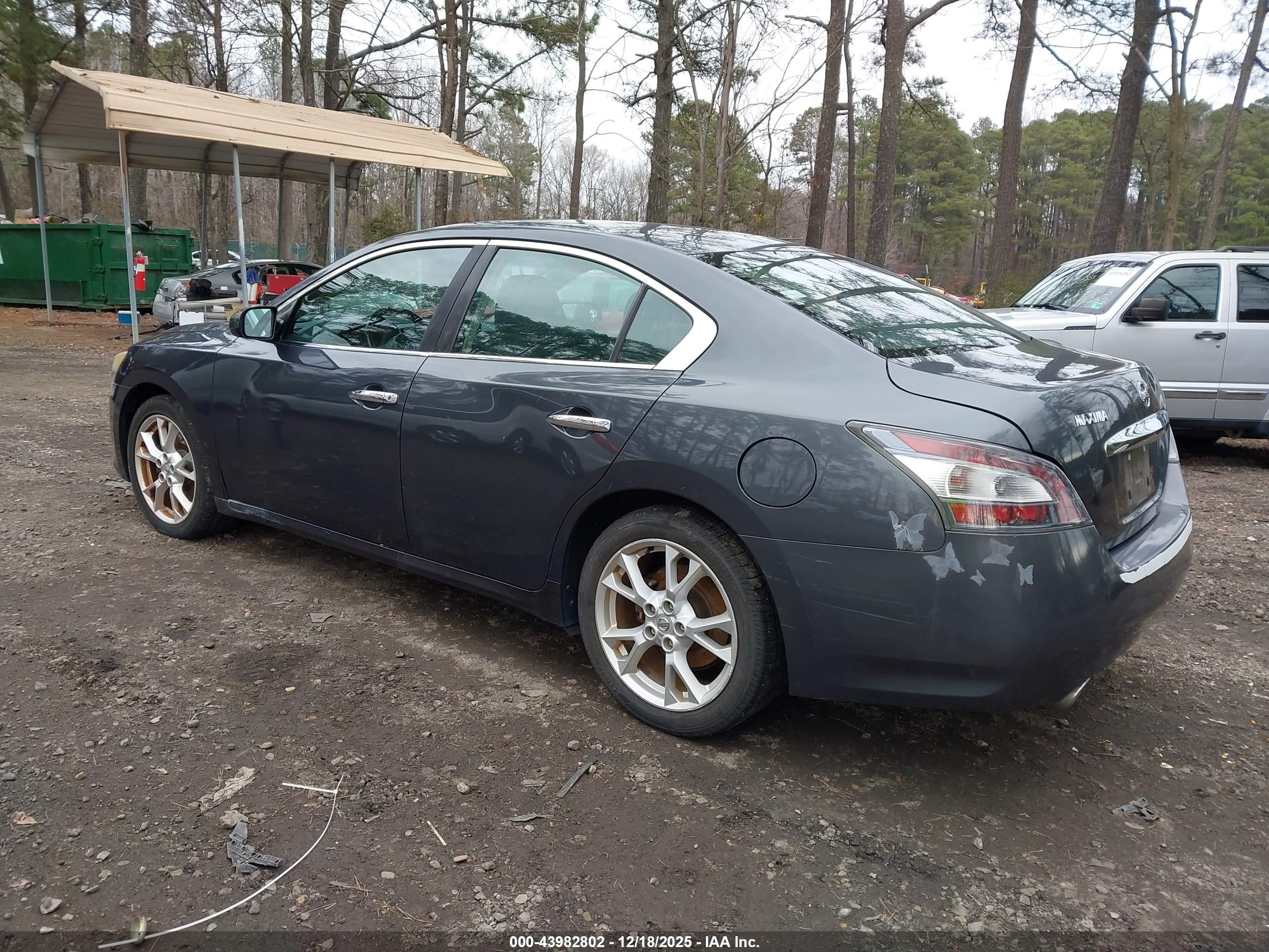 NISSAN MAXIMA image 3