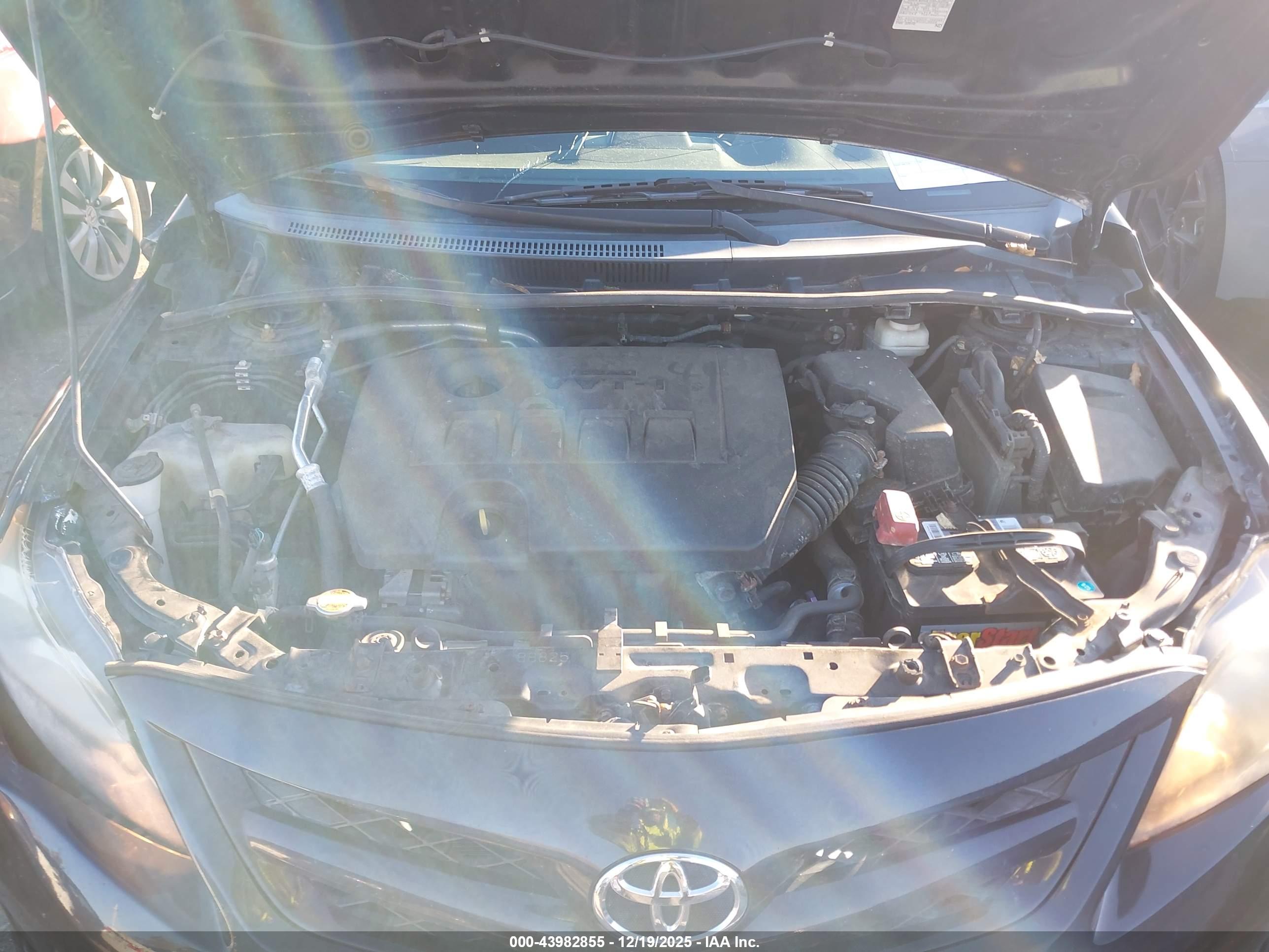 TOYOTA COROLLA image 10