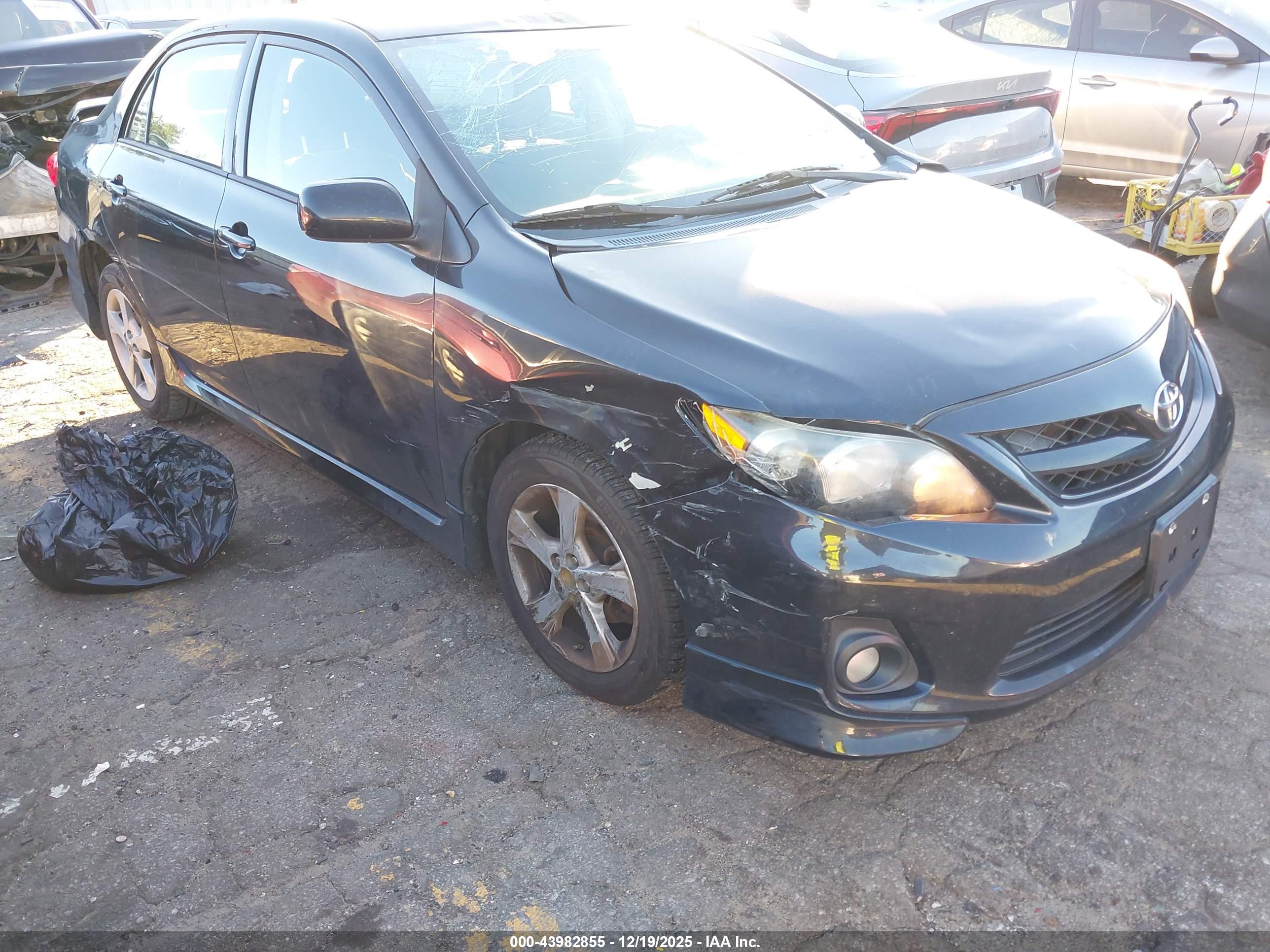 TOYOTA COROLLA image 6