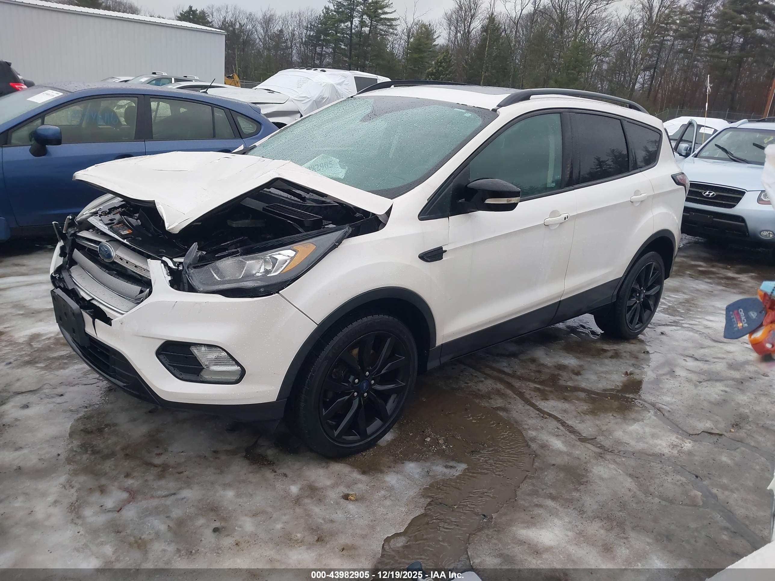 FORD ESCAPE image 2