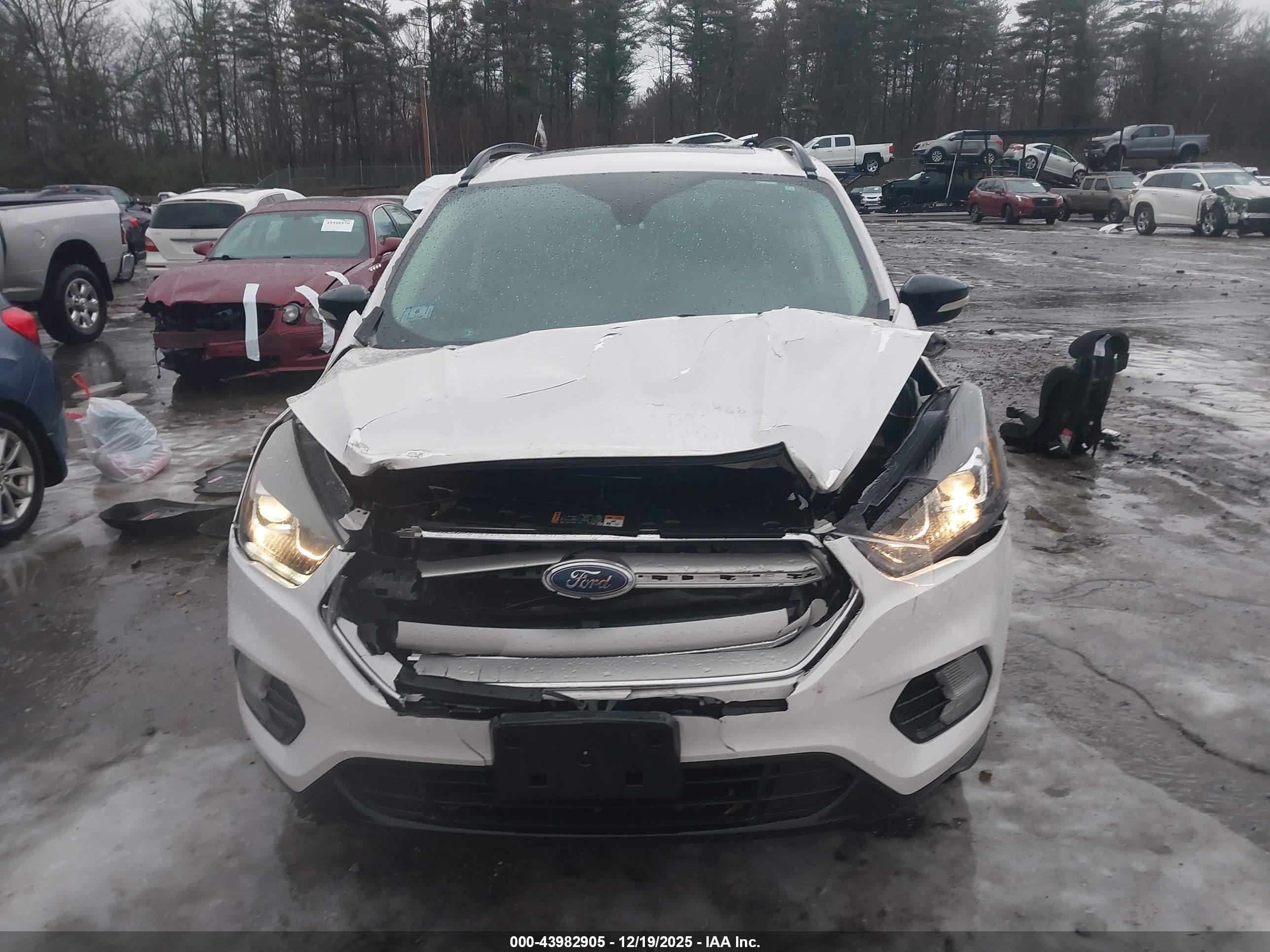 FORD ESCAPE image 6