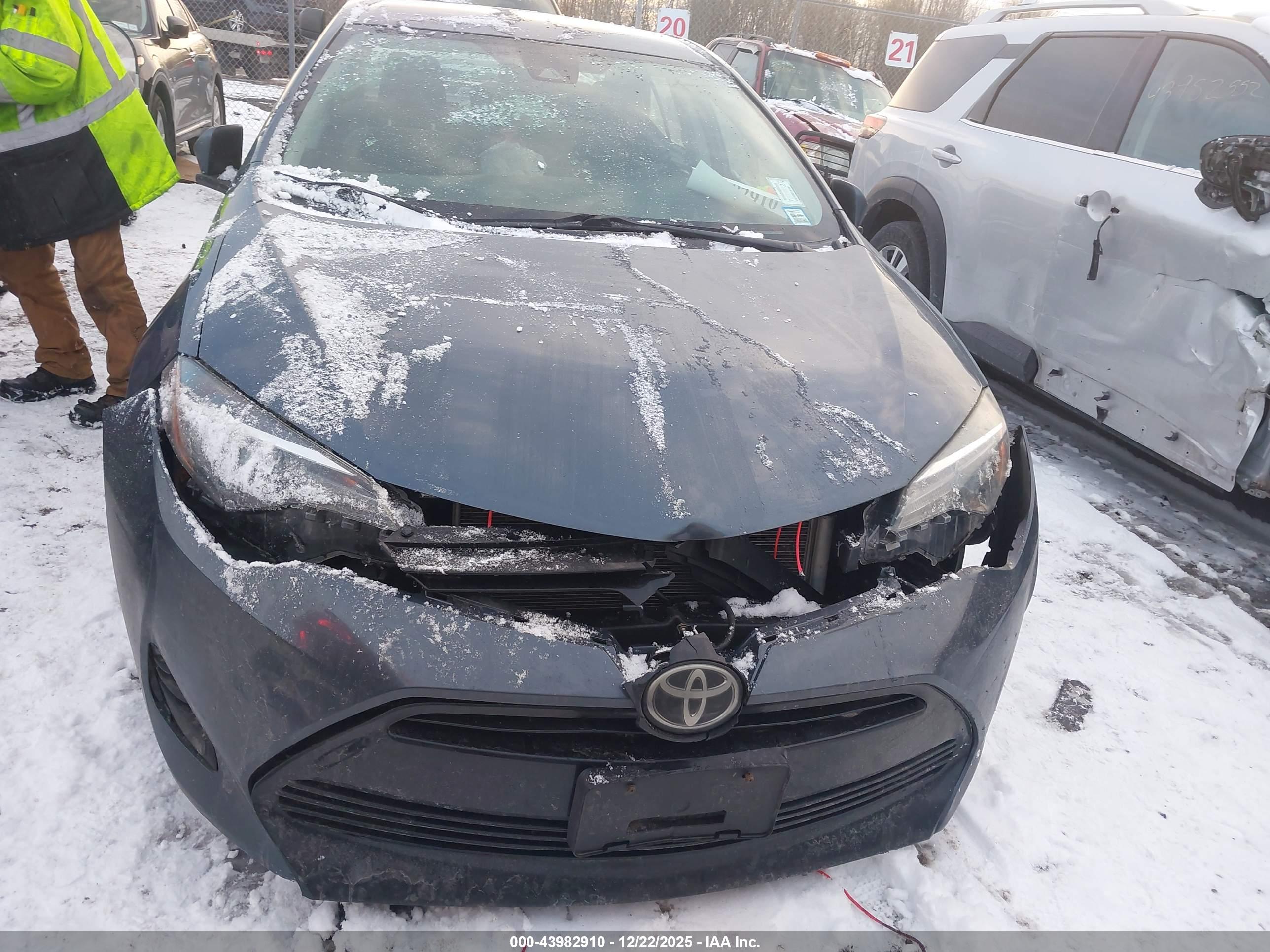 TOYOTA COROLLA image 6