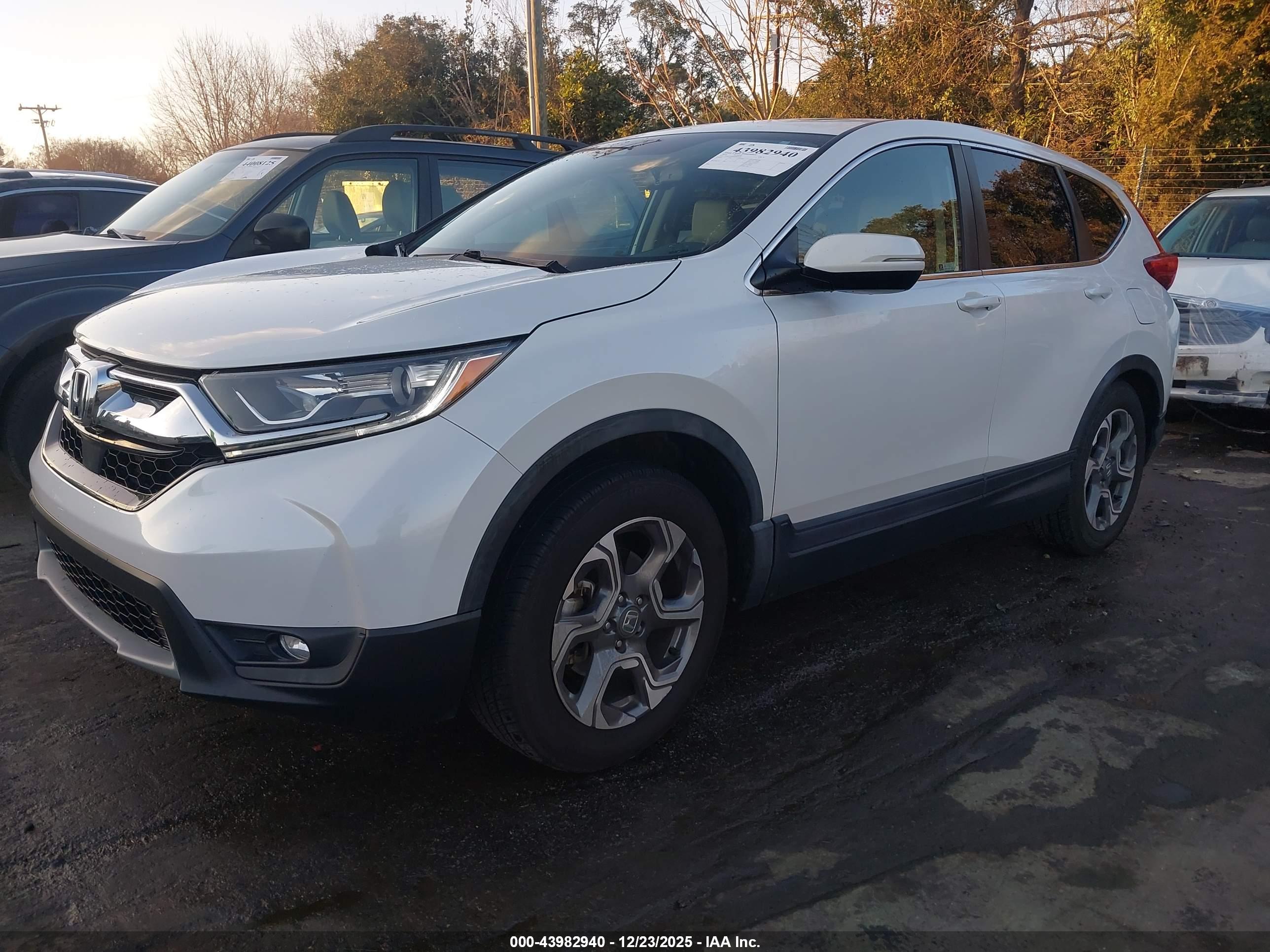 HONDA CR-V image 2