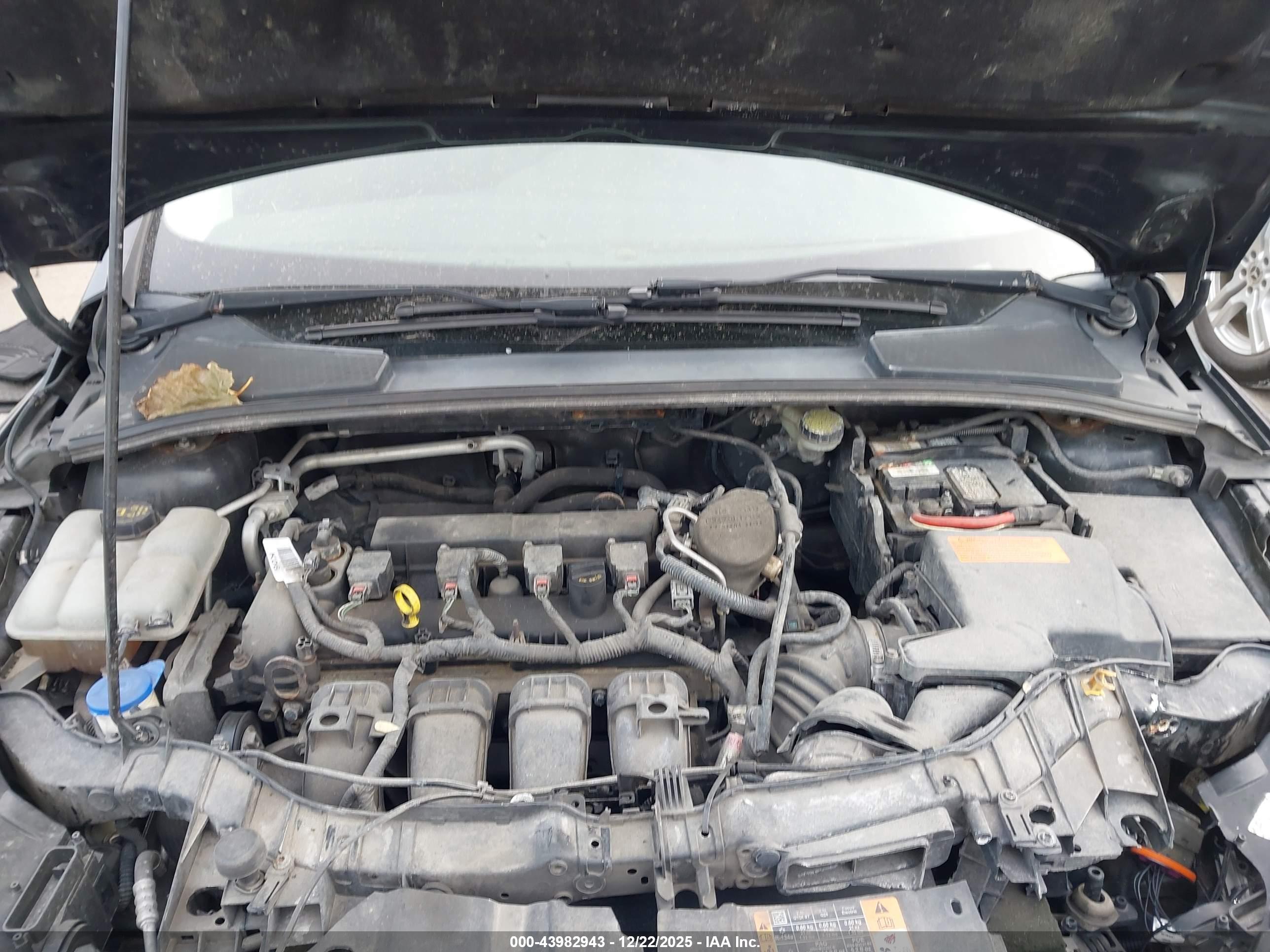FORD FOCUS image 10