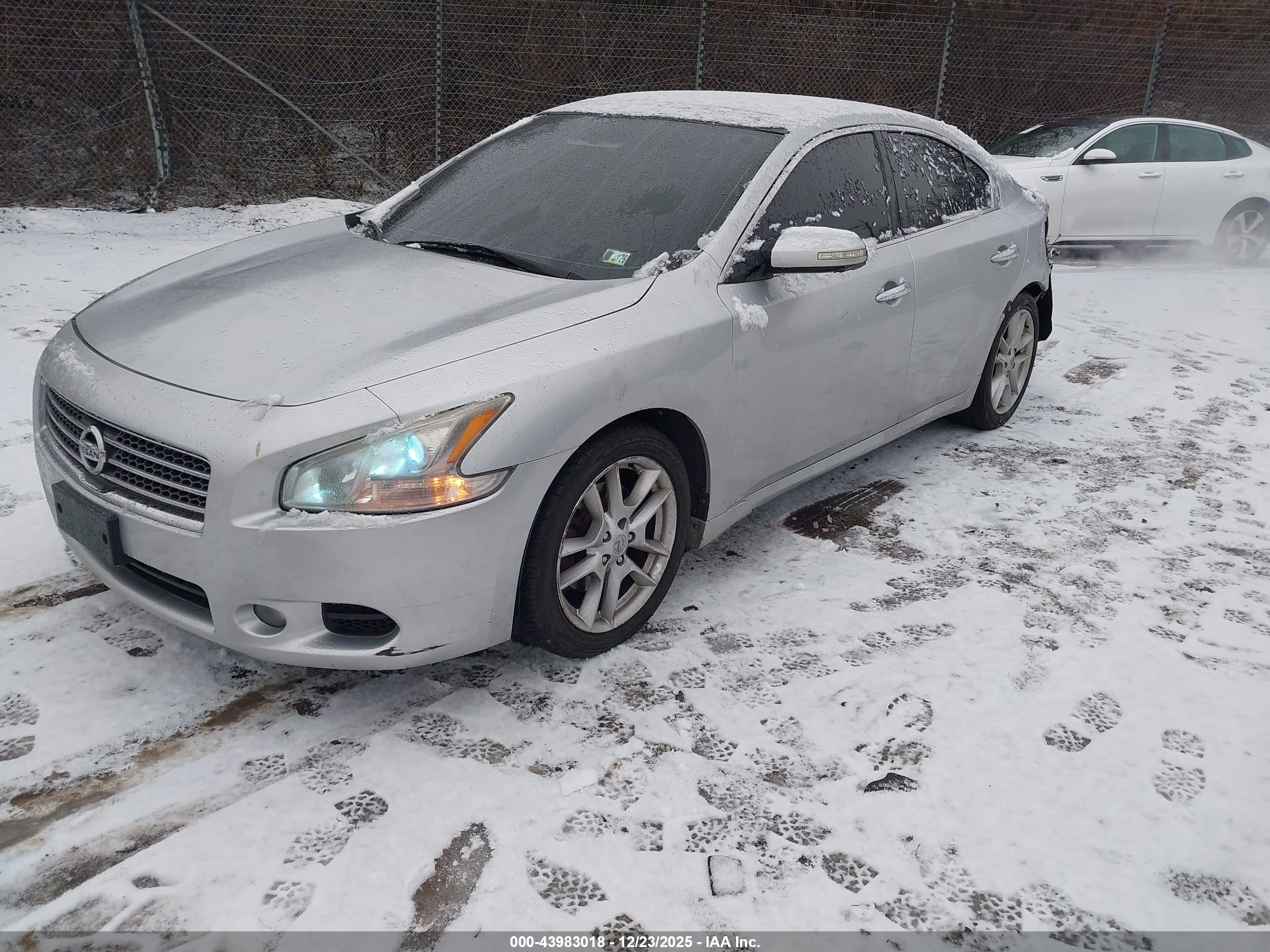 NISSAN MAXIMA image 2