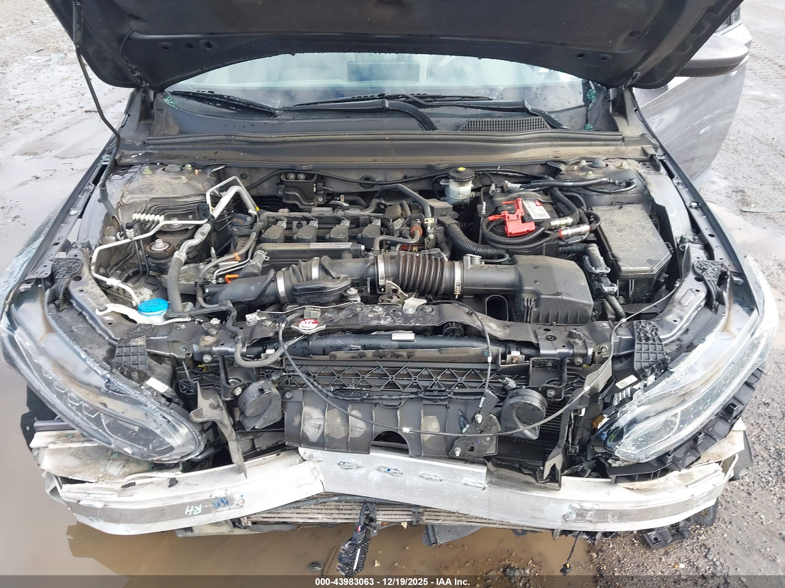 HONDA ACCORD image 10
