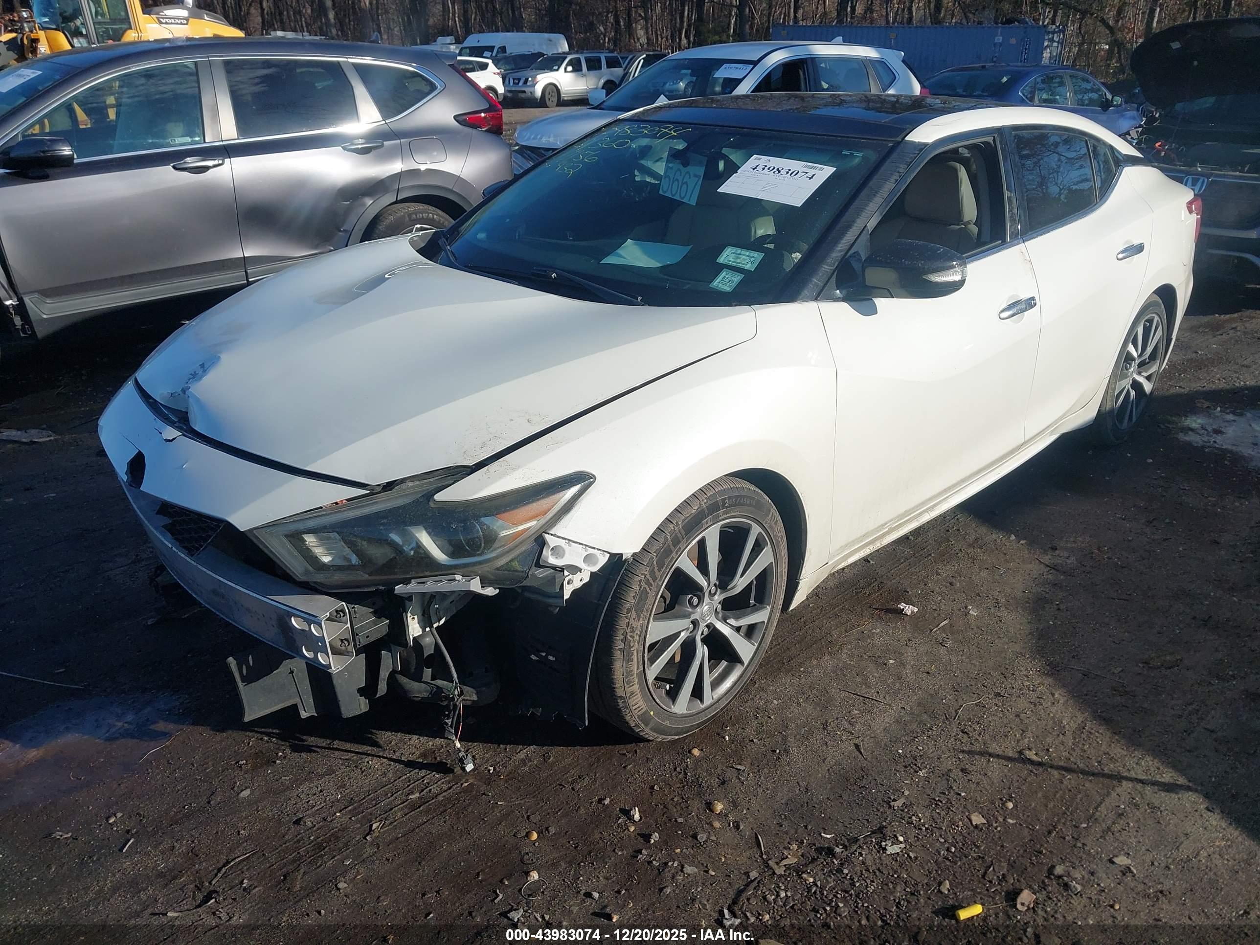 NISSAN MAXIMA image 2