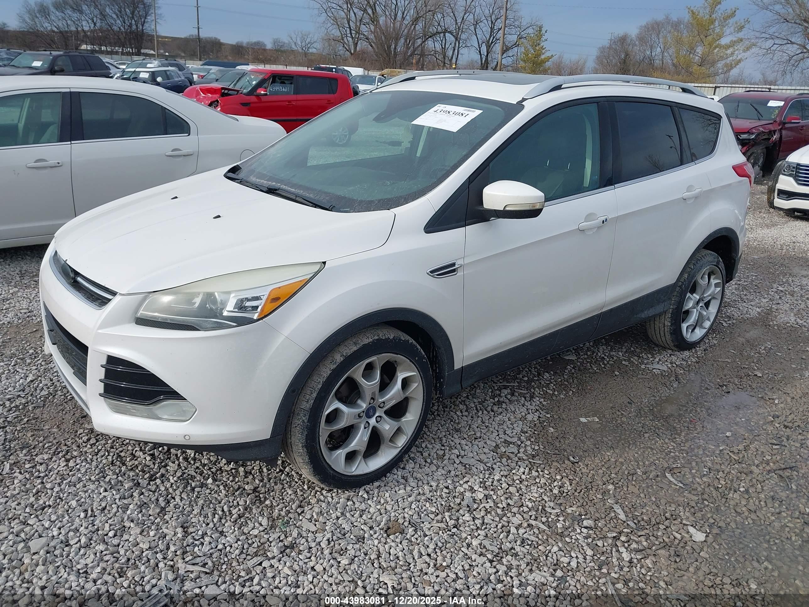 FORD ESCAPE image 2