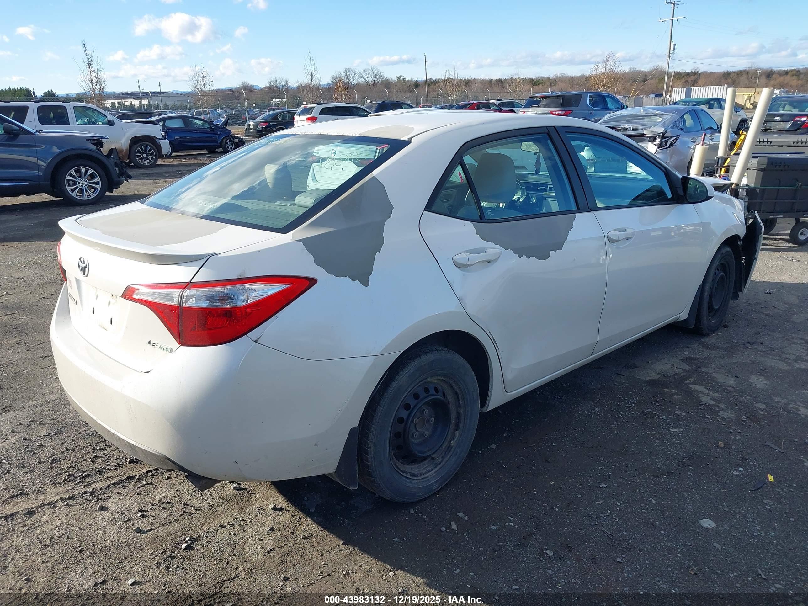 TOYOTA COROLLA image 4