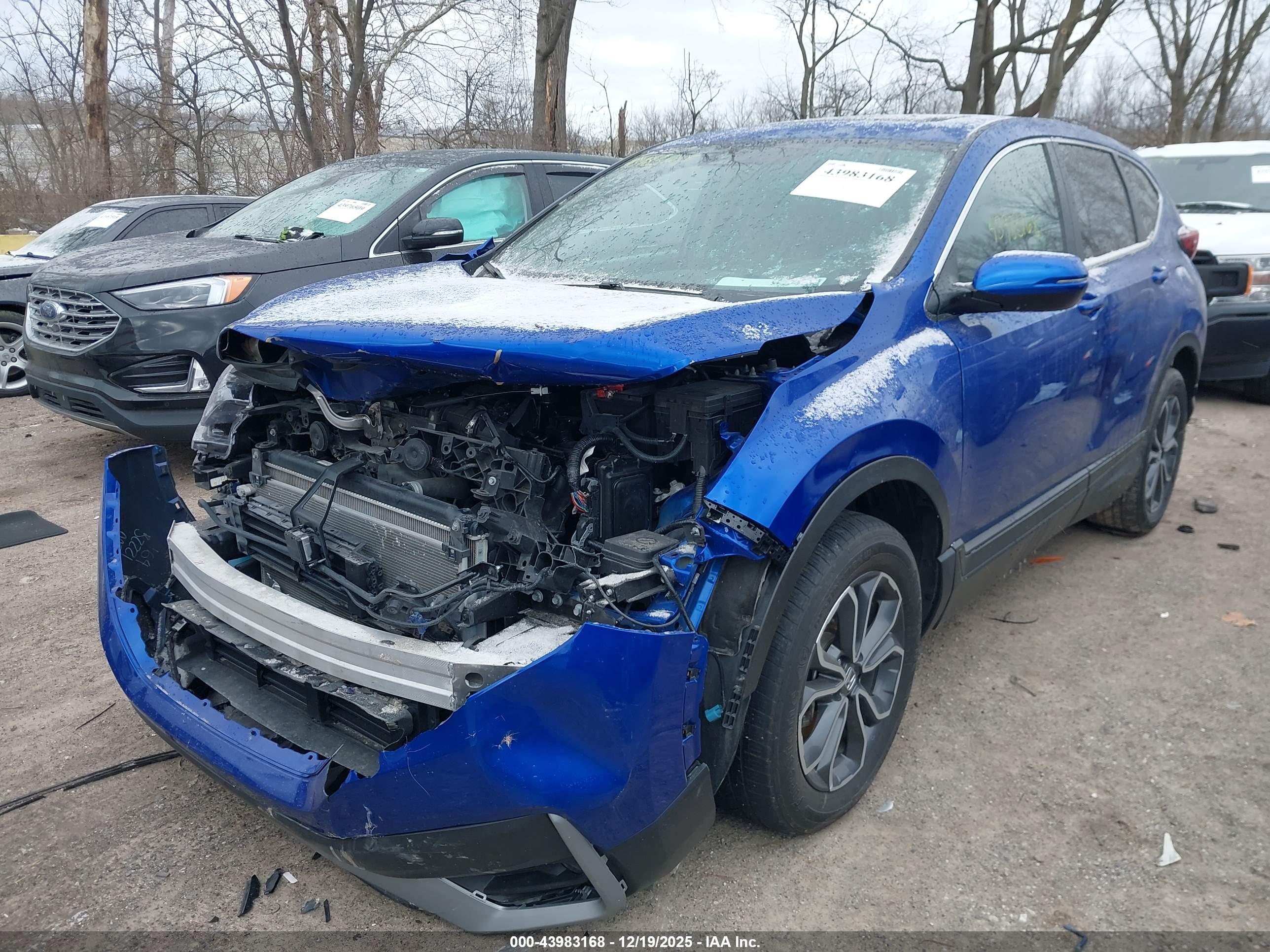 HONDA CR-V image 6